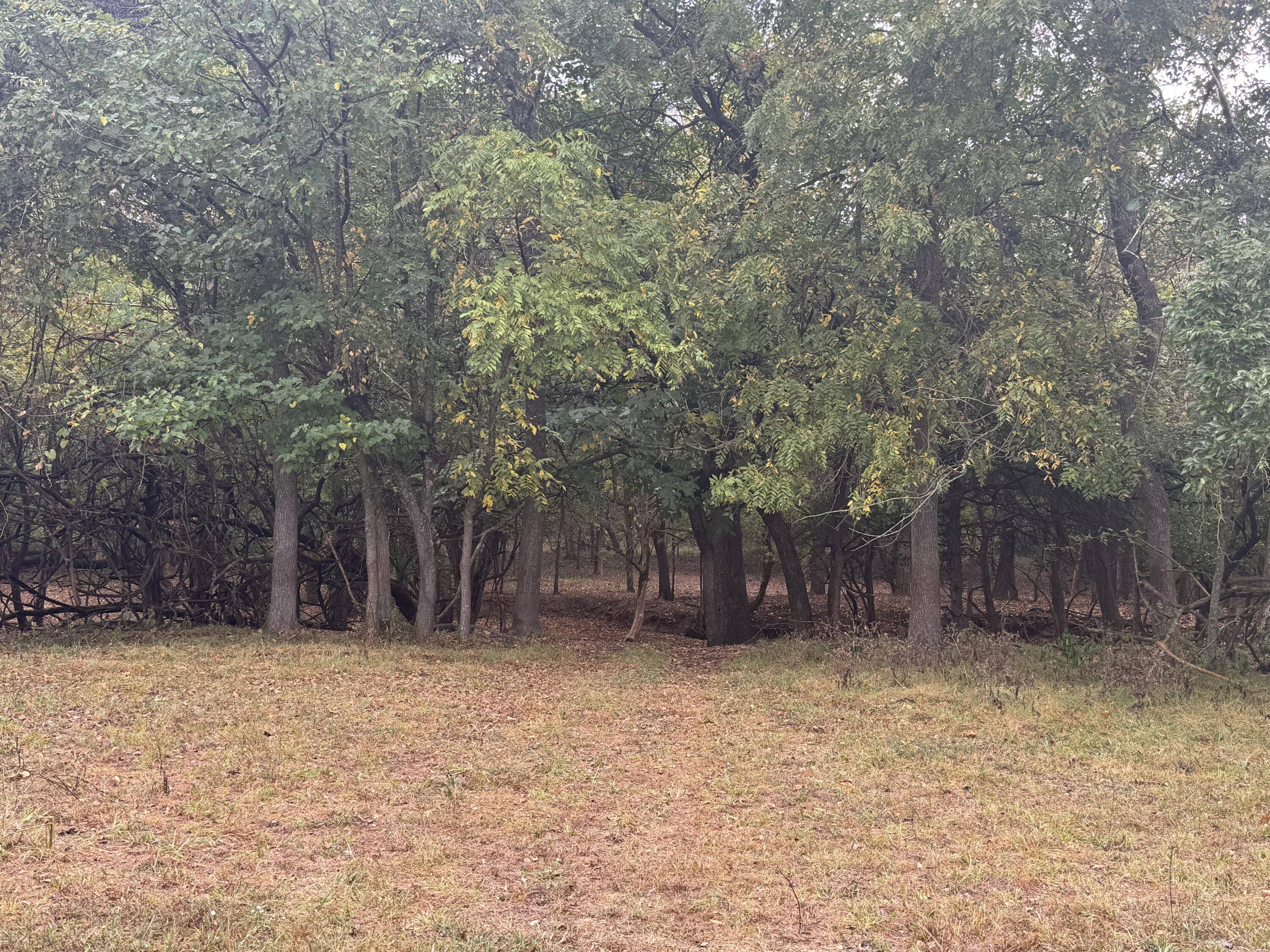 Photo 19 - Land for sale – 4452 S 70th Road  Bolivar, MO