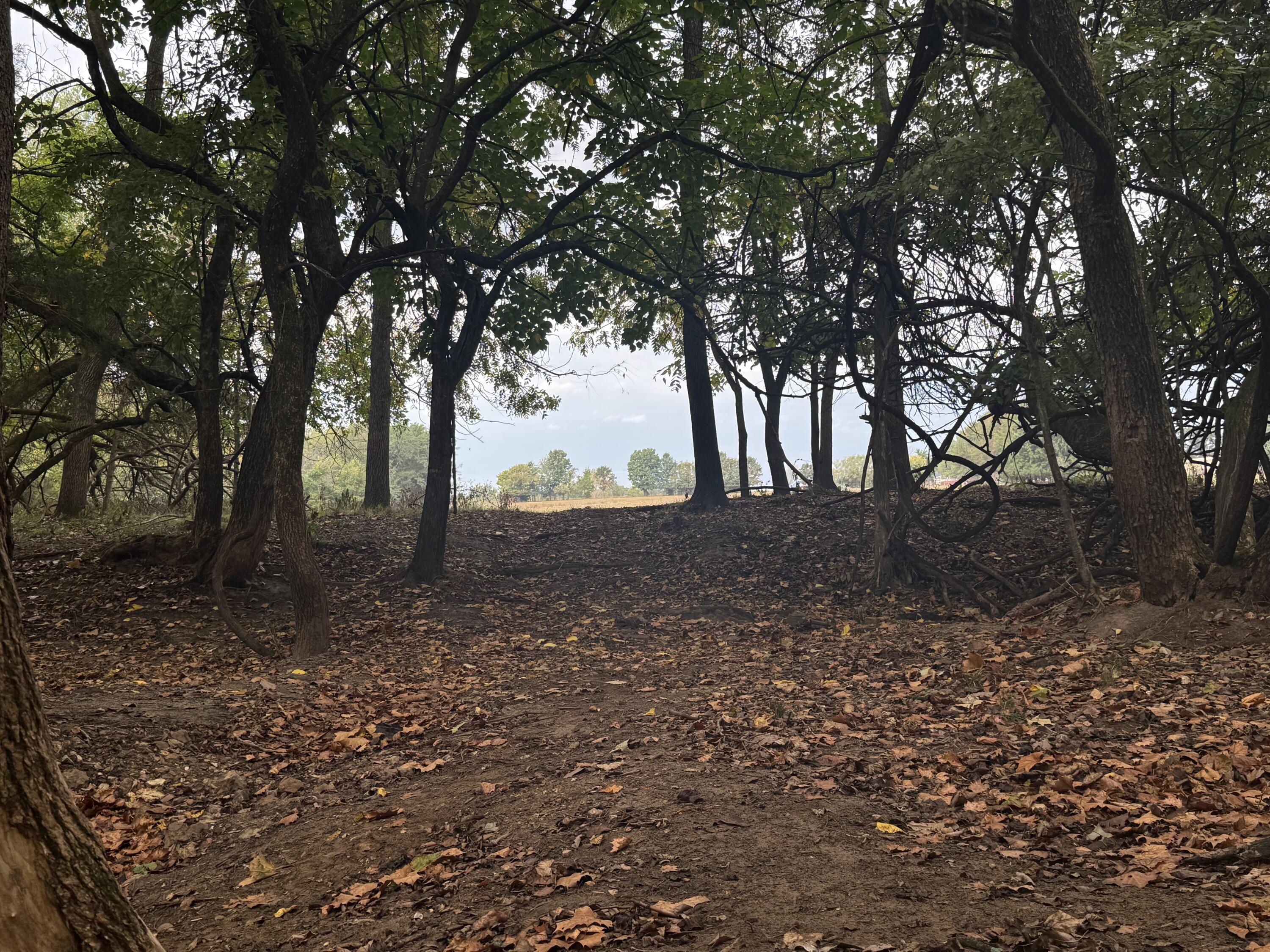 Photo 27 - Land for sale – 4452 S 70th Road  Bolivar, MO