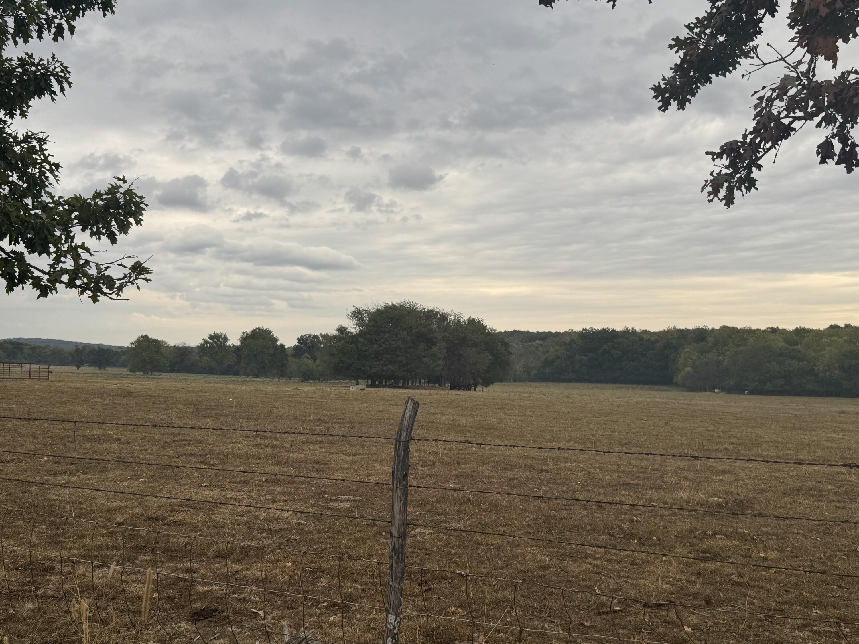 Photo 4 - Land for sale – 4452 S 70th Road  Bolivar, MO