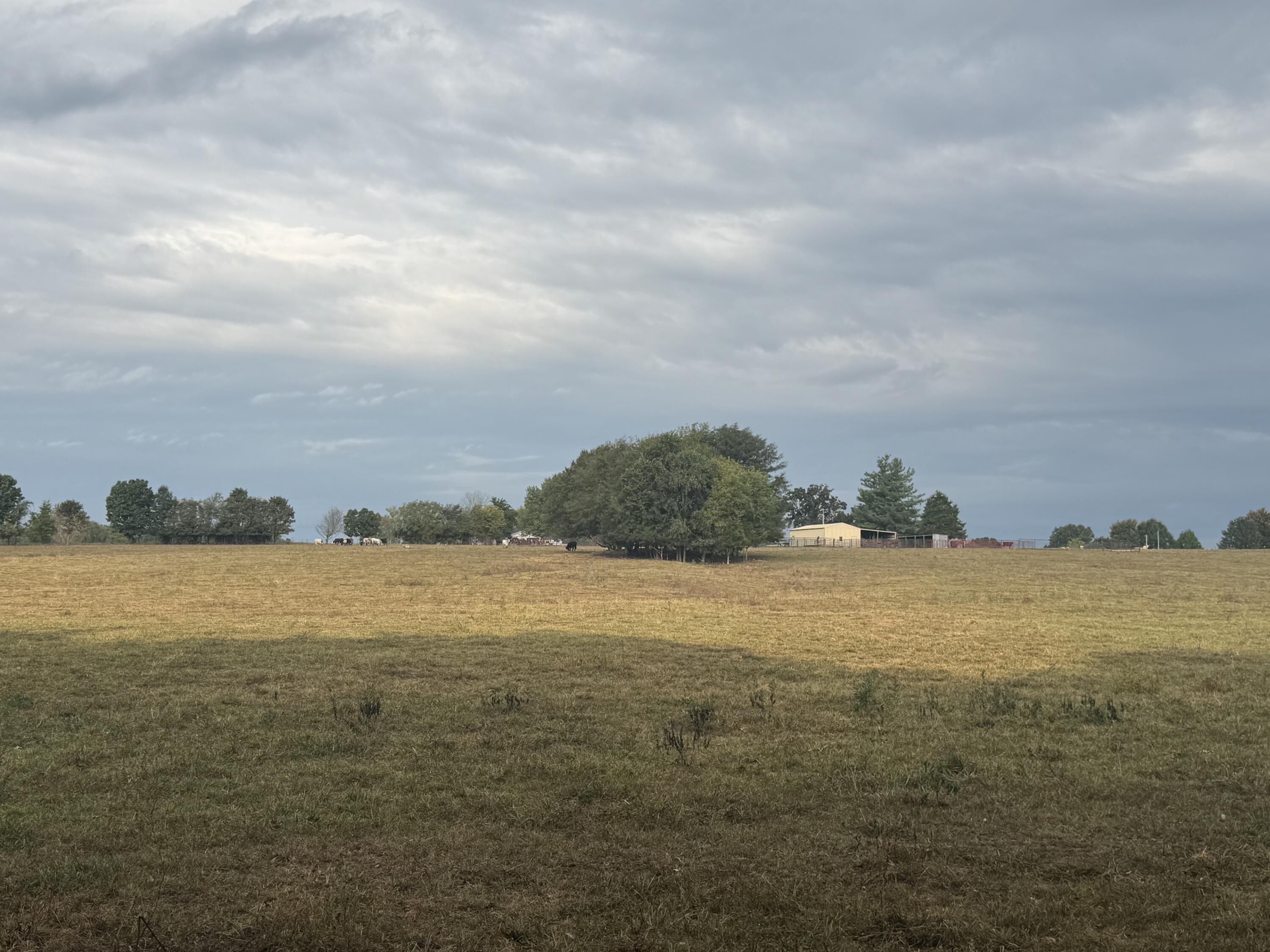 Photo 37 - Land for sale – 4452 S 70th Road  Bolivar, MO