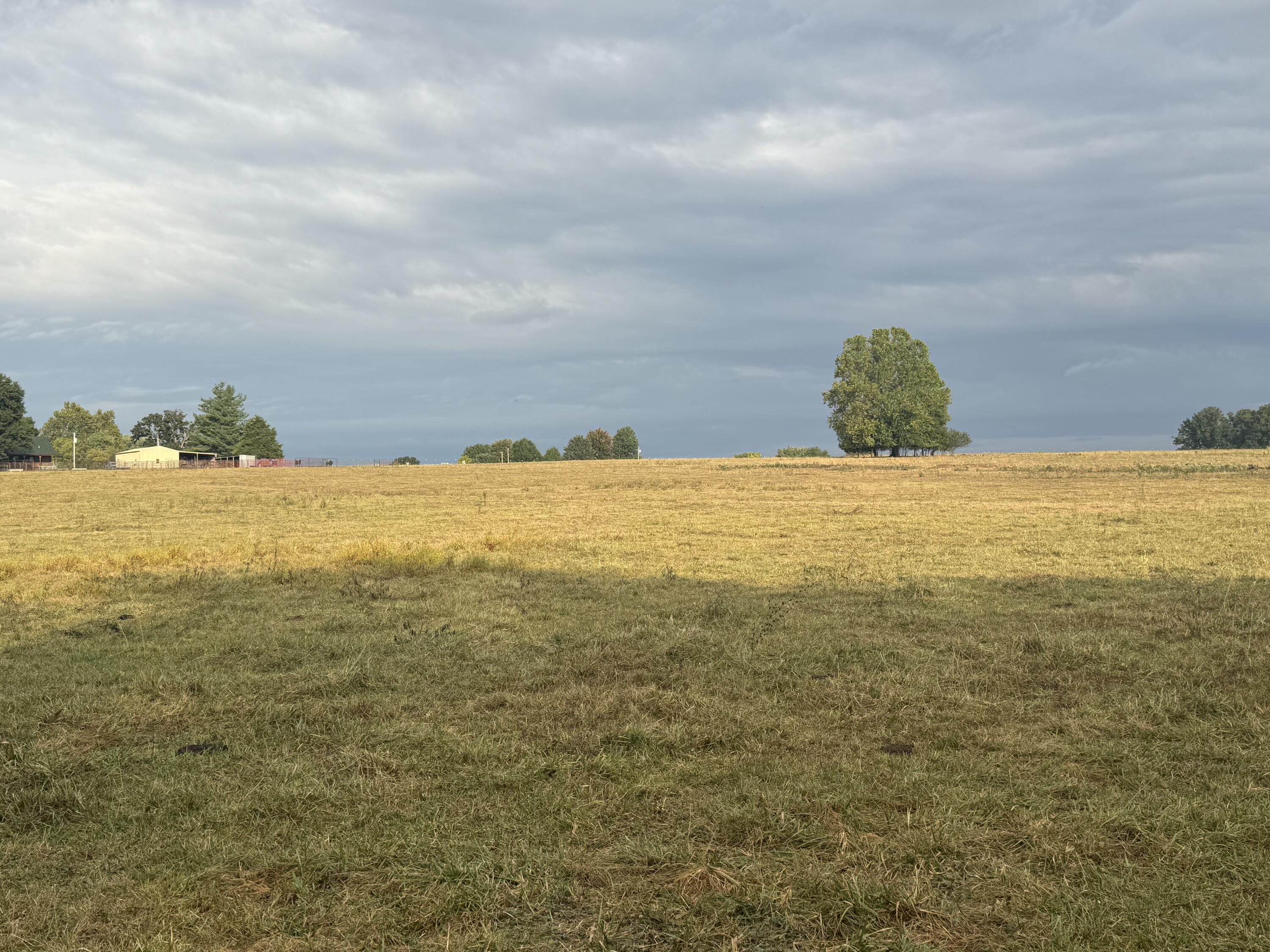 Photo 33 - Land for sale – 4452 S 70th Road  Bolivar, MO