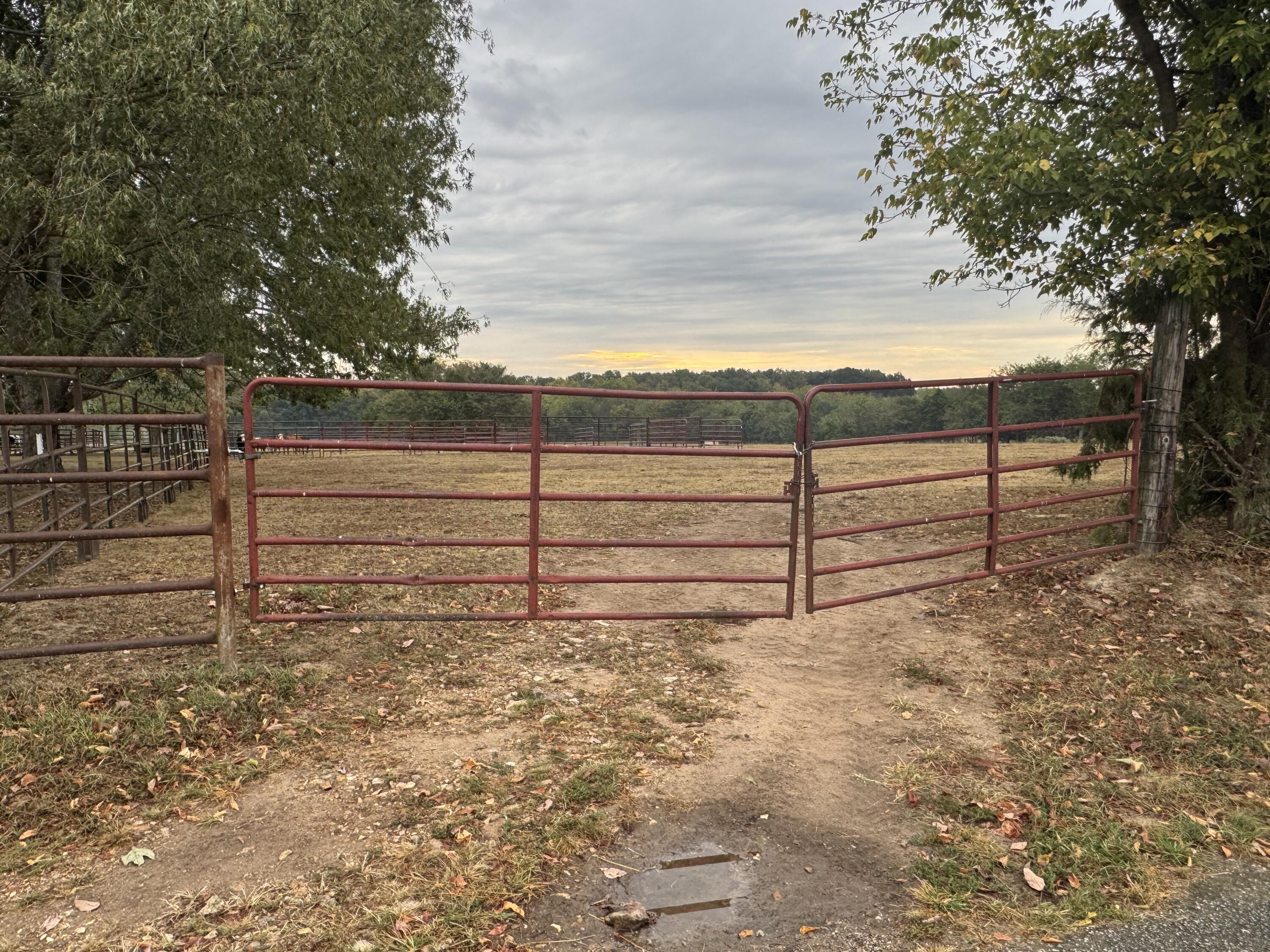 Photo 2 - Land for sale – 4452 S 70th Road  Bolivar, MO