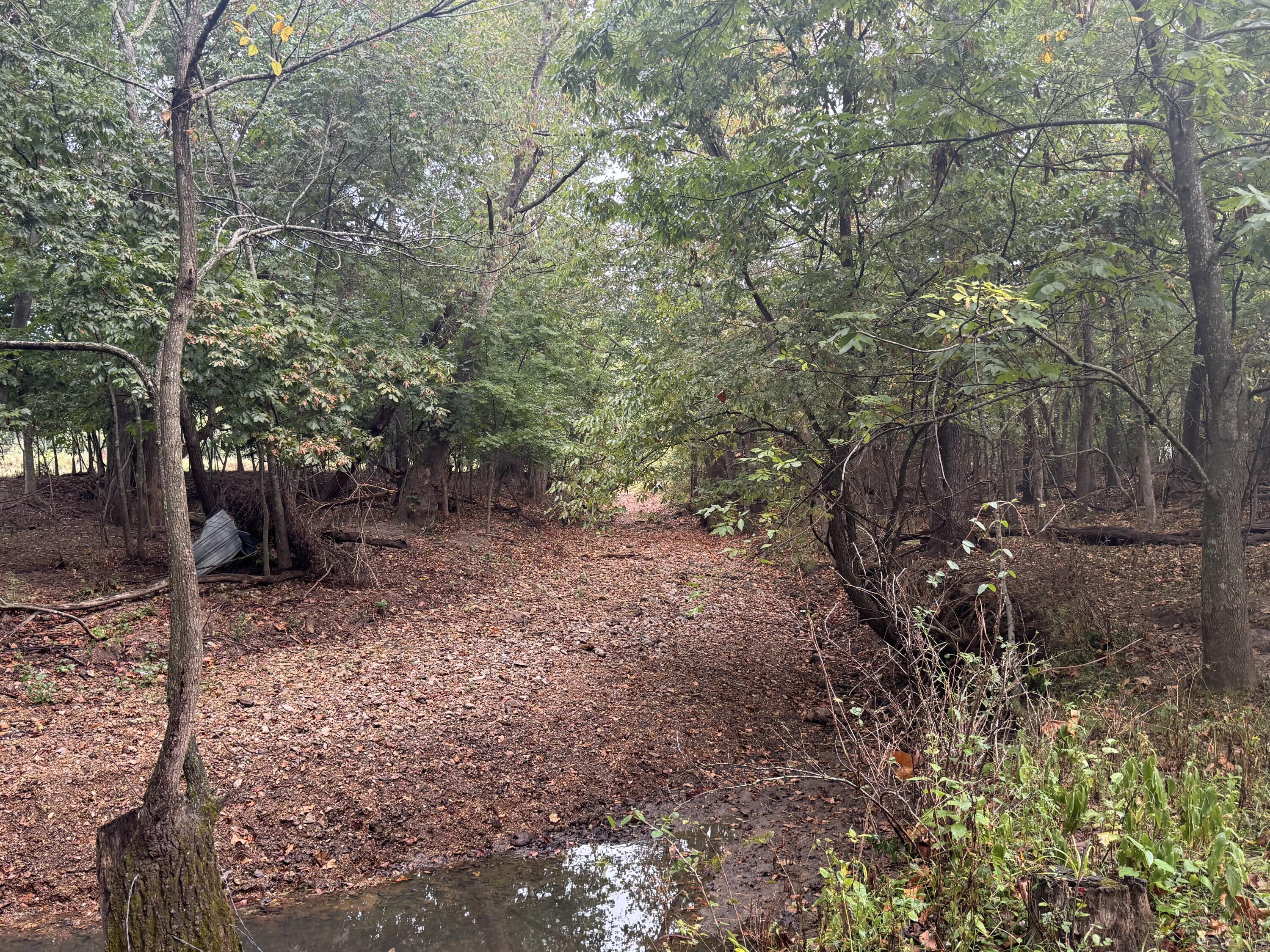 Photo 38 - Land for sale – 4452 S 70th Road  Bolivar, MO