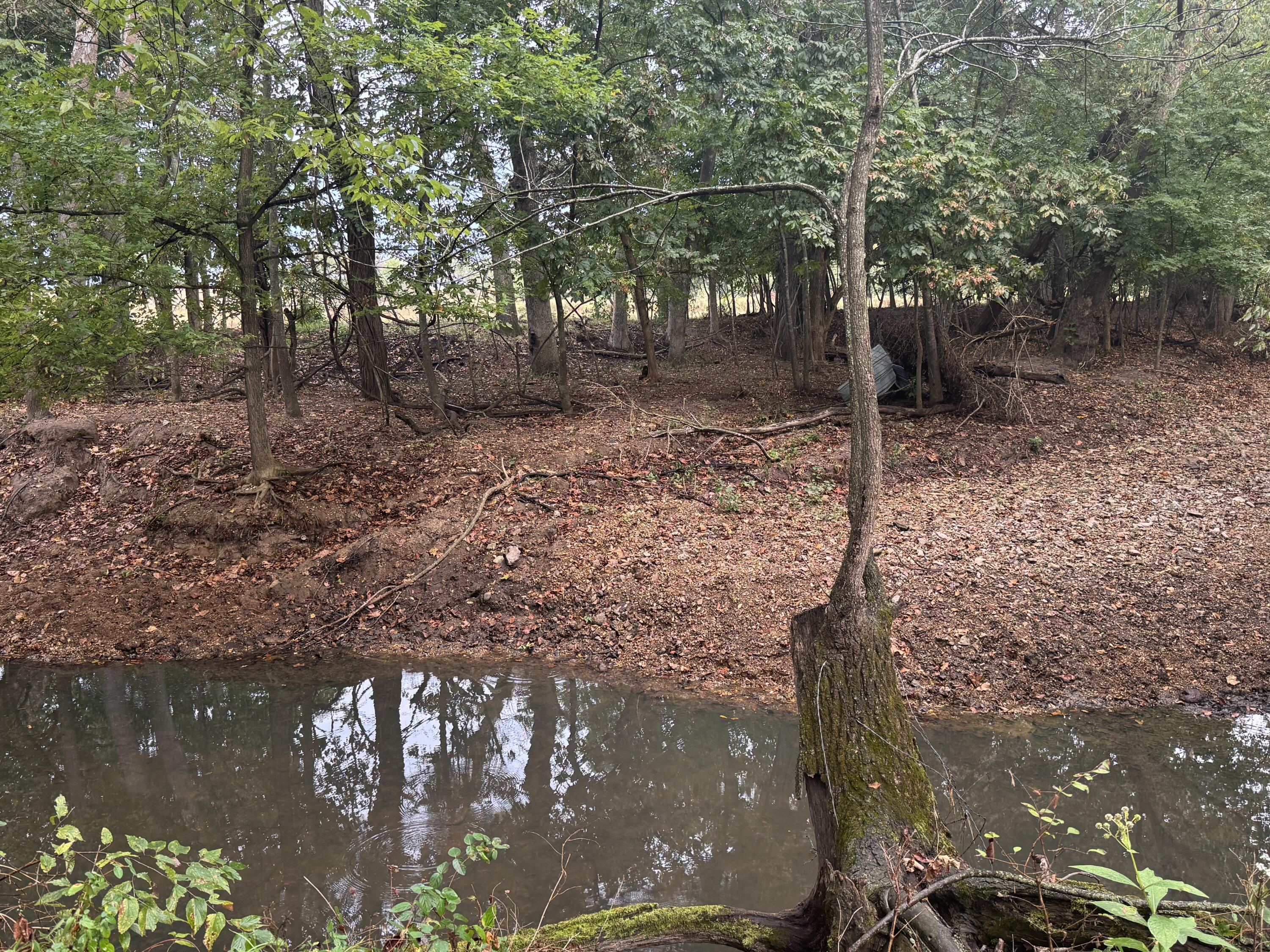 Photo 39 - Land for sale – 4452 S 70th Road  Bolivar, MO