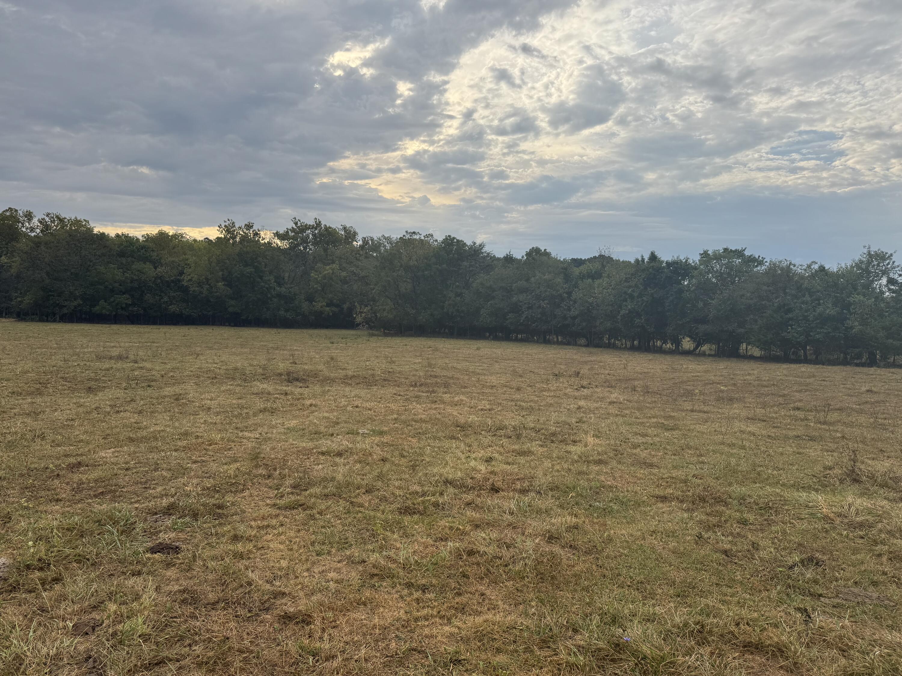 Photo 16 - Land for sale – 4452 S 70th Road  Bolivar, MO