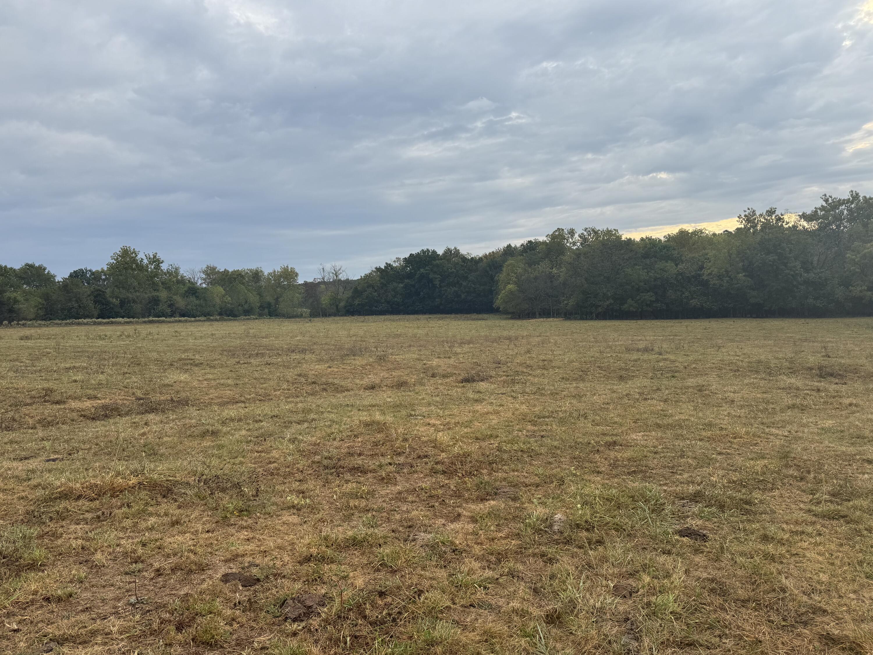 Photo 20 - Land for sale – 4452 S 70th Road  Bolivar, MO