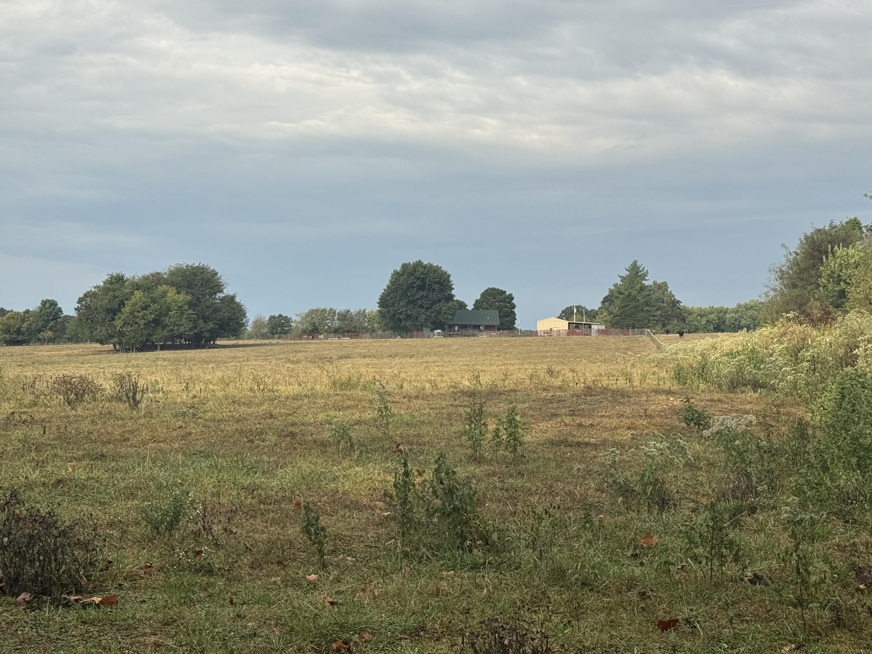 Photo 43 - Land for sale – 4452 S 70th Road  Bolivar, MO