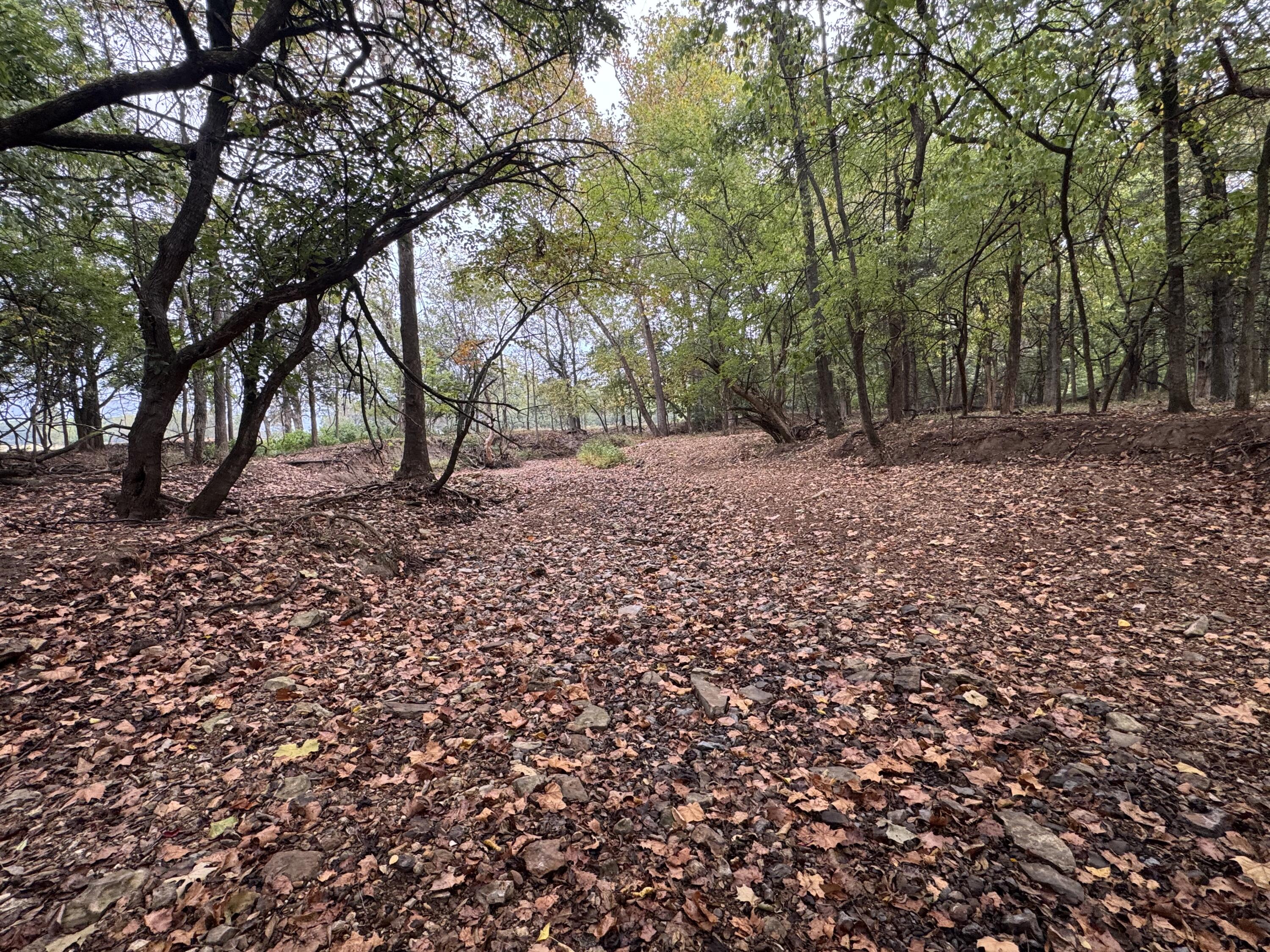Photo 21 - Land for sale – 4452 S 70th Road  Bolivar, MO