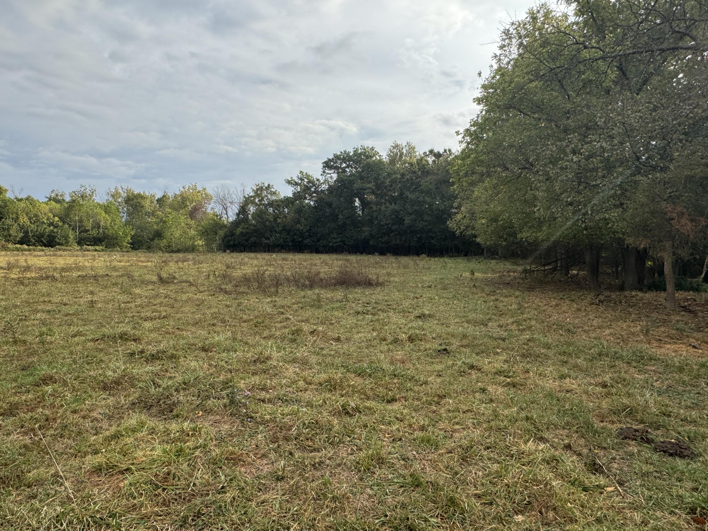 Photo 35 - Land for sale – 4452 S 70th Road  Bolivar, MO