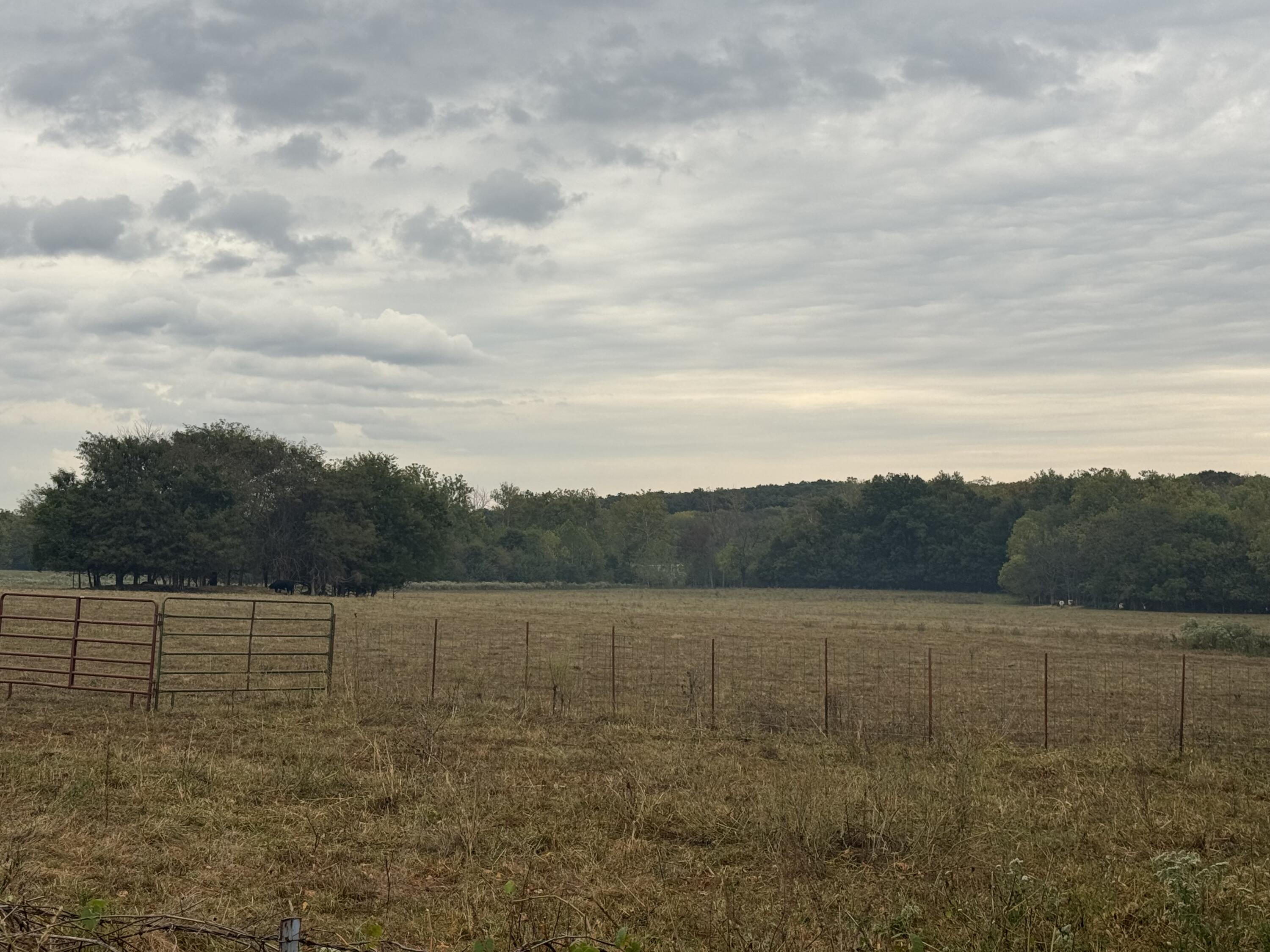 Photo 7 - Land for sale – 4452 S 70th Road  Bolivar, MO