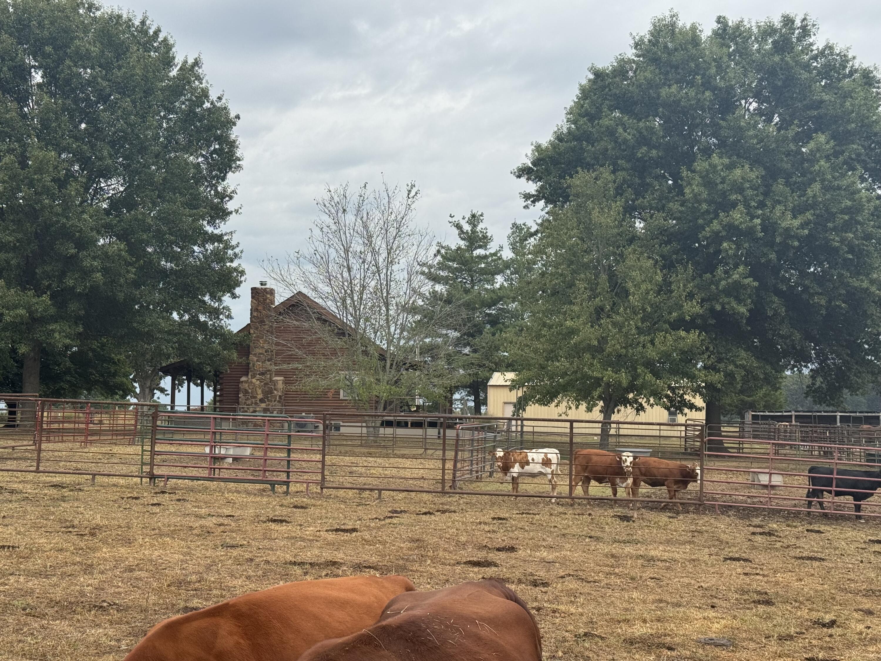 Photo 15 - Land for sale – 4452 S 70th Road  Bolivar, MO