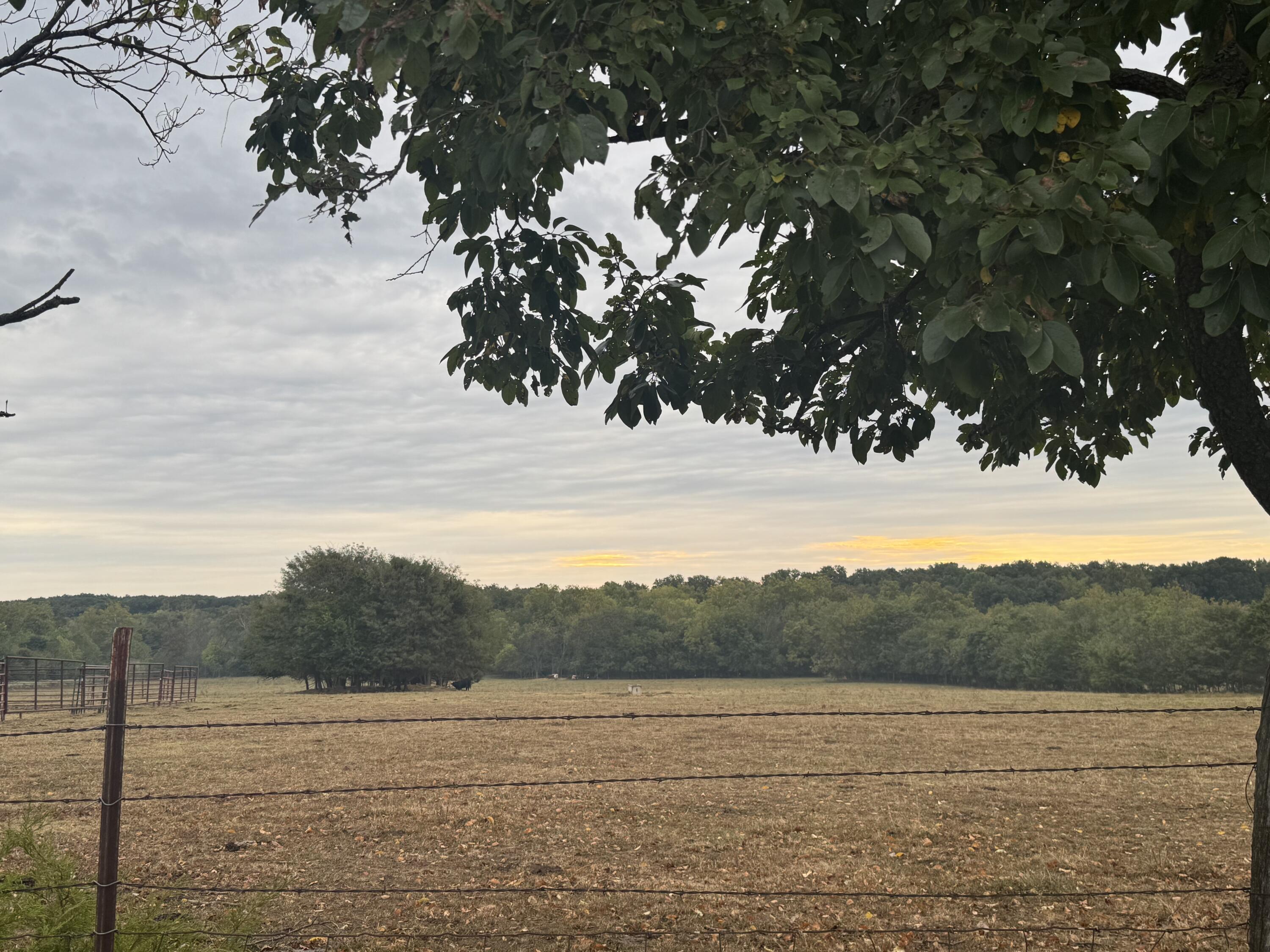 Photo 3 - Land for sale – 4452 S 70th Road  Bolivar, MO