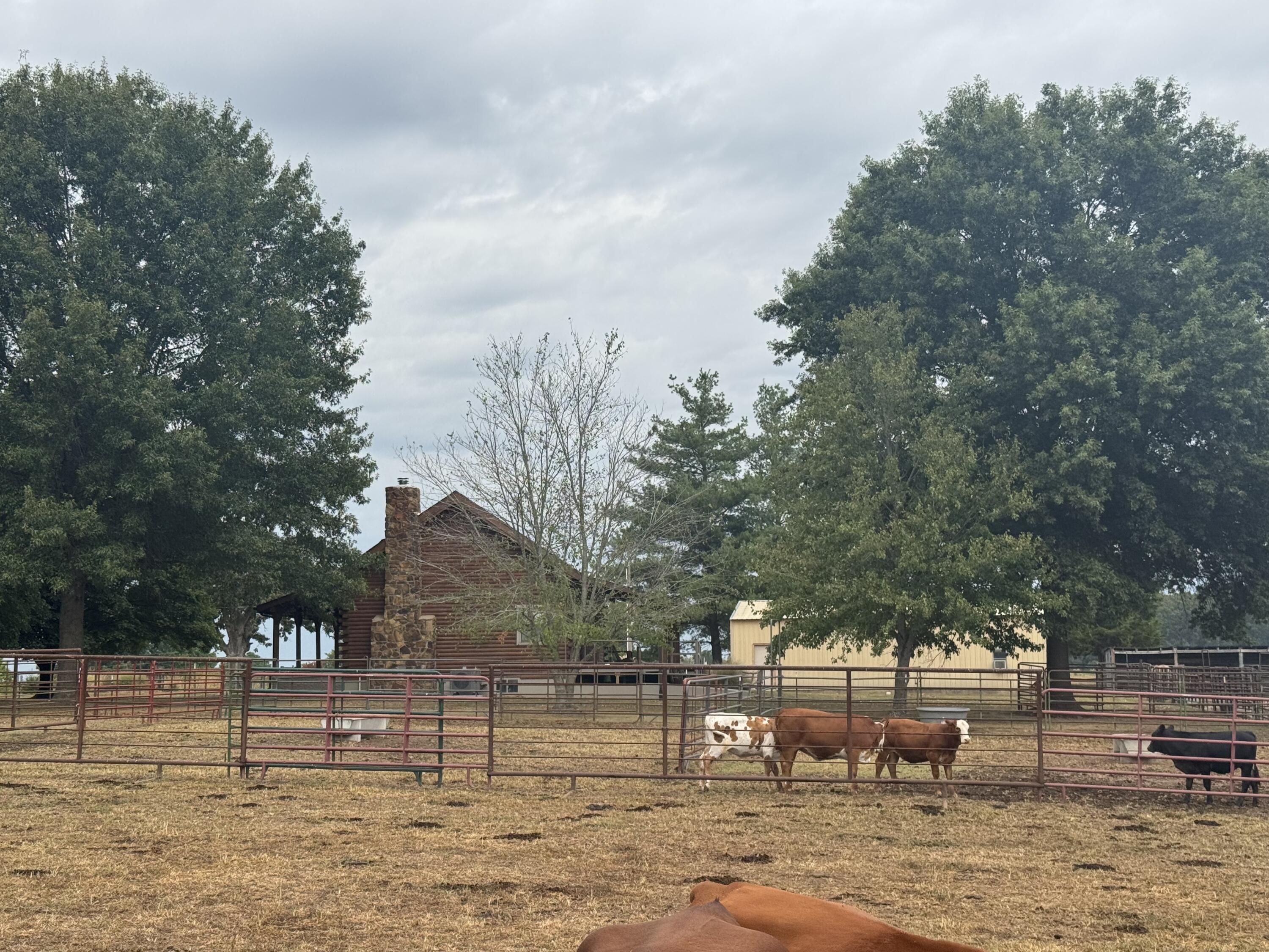 Photo 14 - Land for sale – 4452 S 70th Road  Bolivar, MO