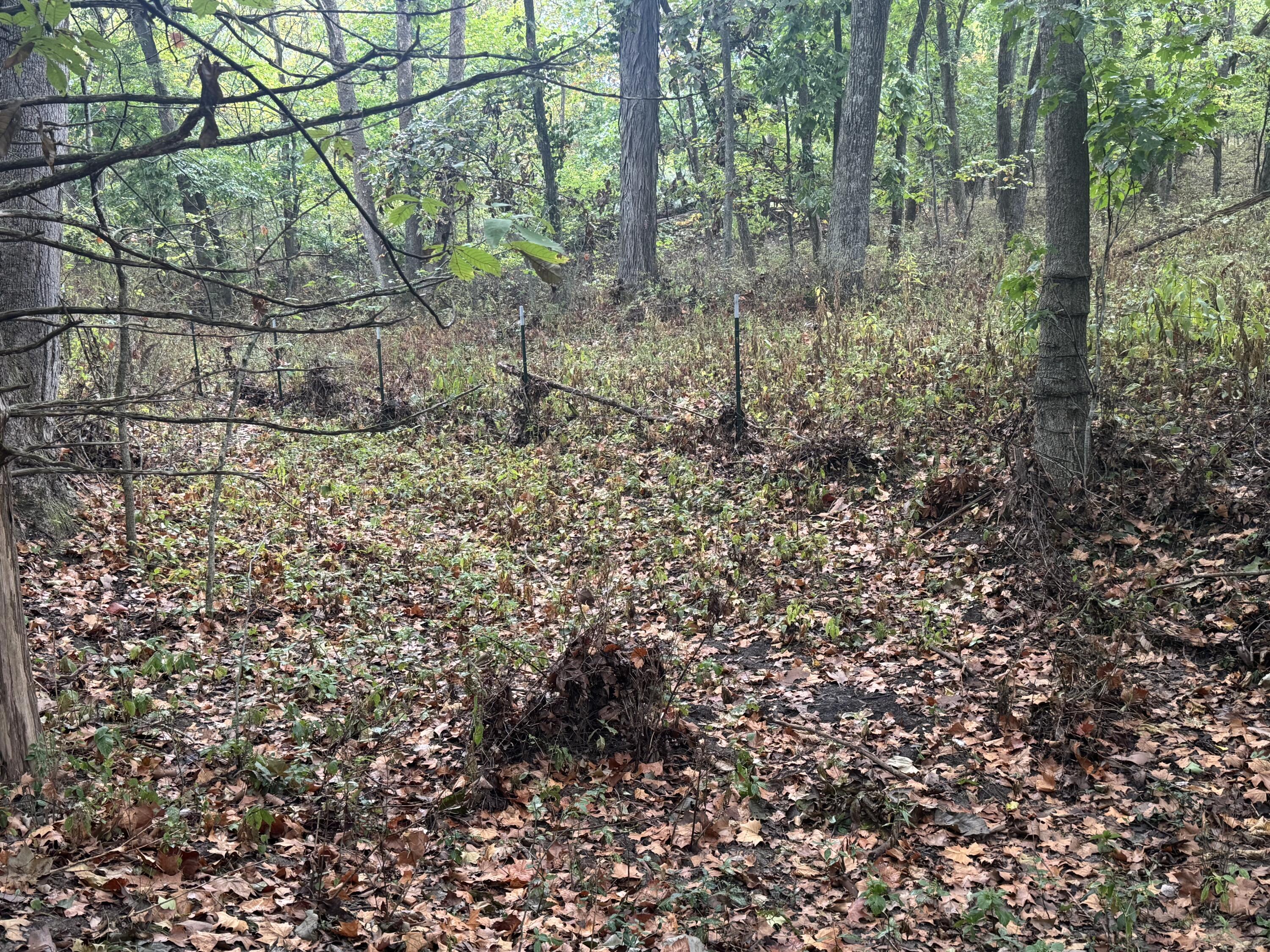 Photo 25 - Land for sale – 4452 S 70th Road  Bolivar, MO