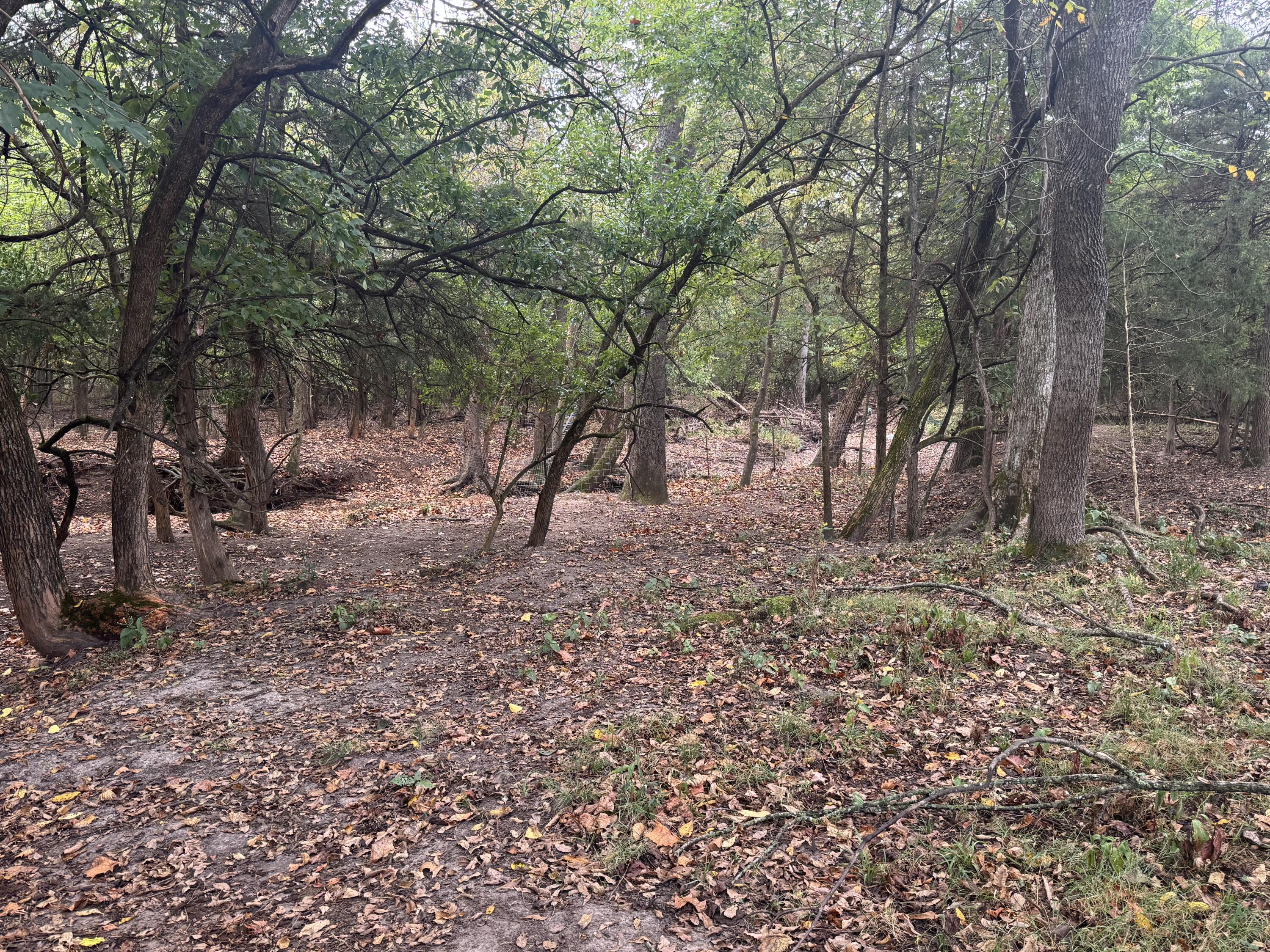 Photo 17 - Land for sale – 4452 S 70th Road  Bolivar, MO