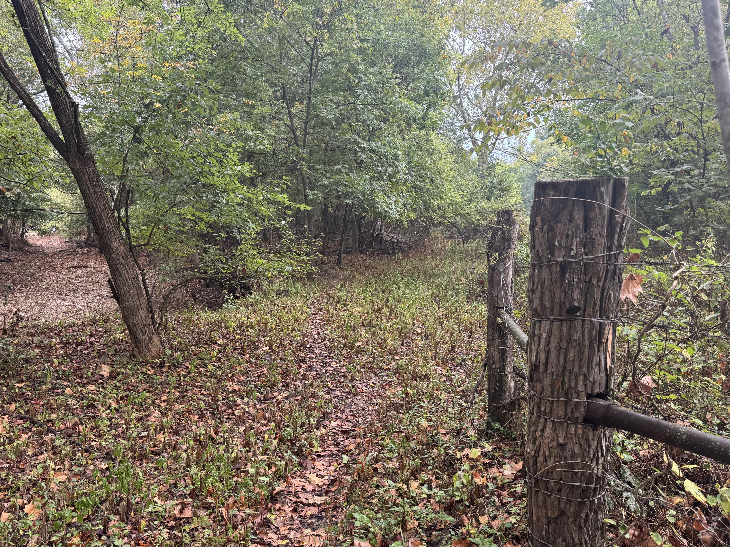Photo 31 - Land for sale – 4452 S 70th Road  Bolivar, MO