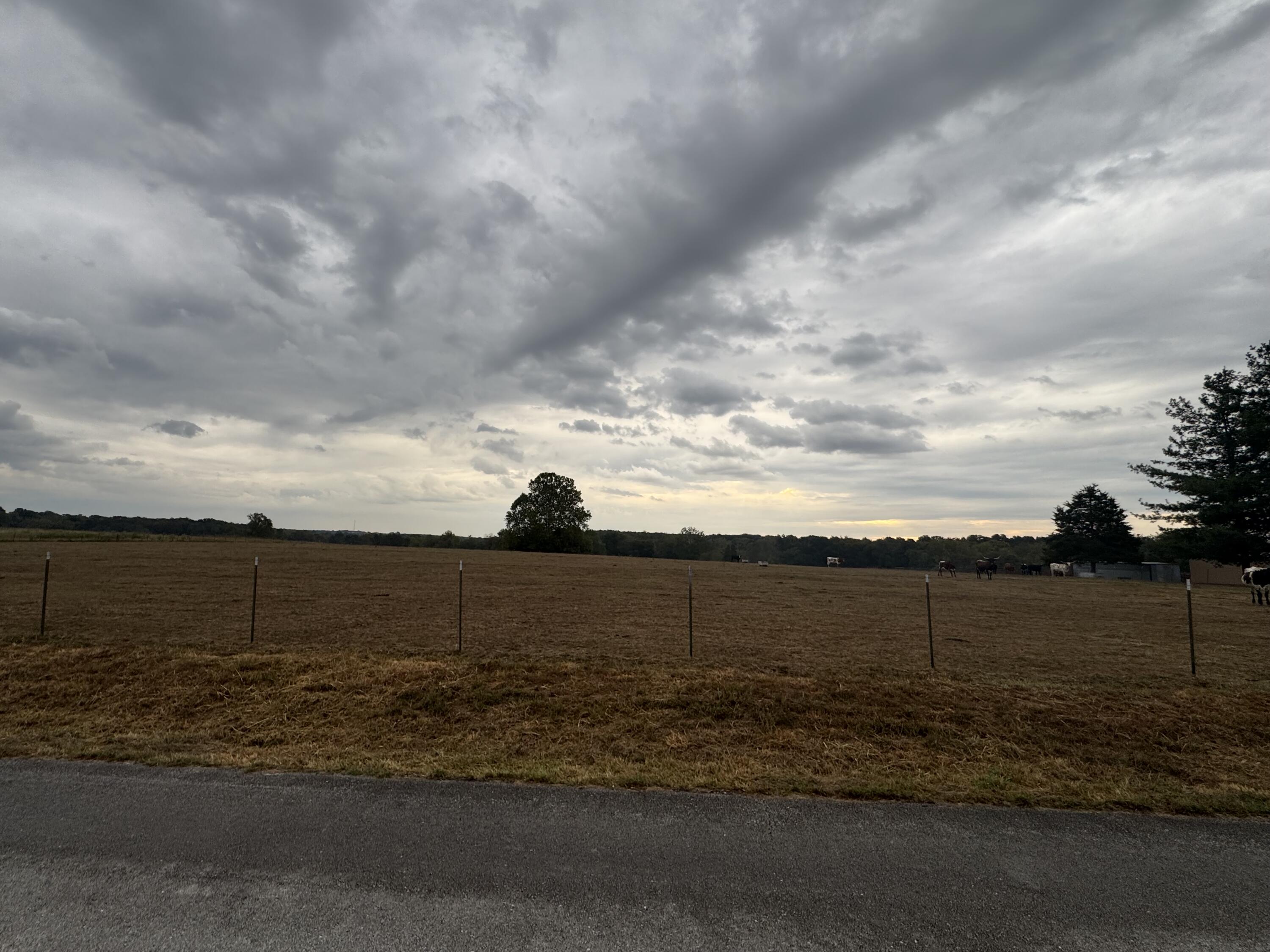 Photo 7 - Land for sale – 000 S 70th Road  Bolivar, MO