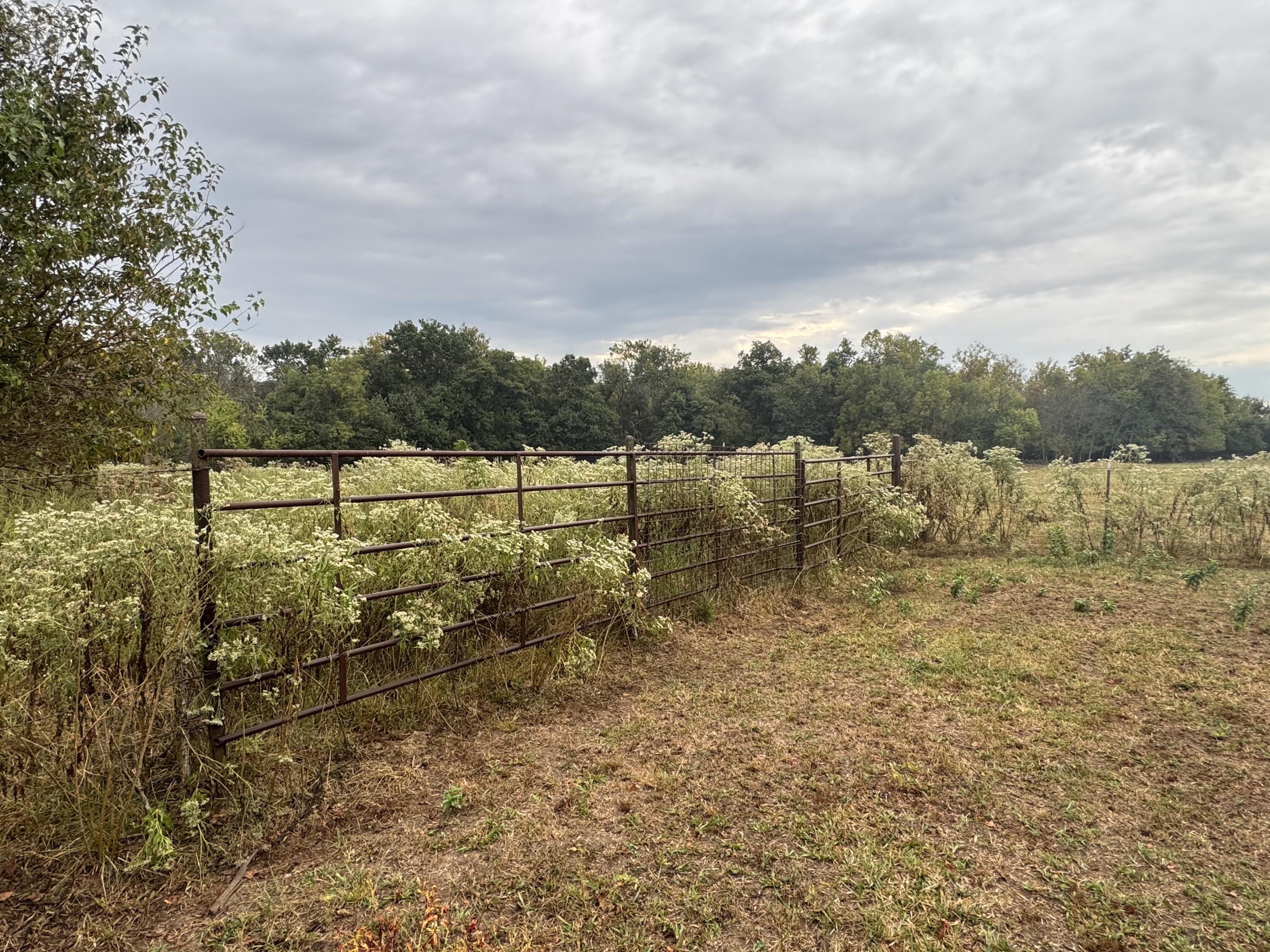 Photo 11 - Land for sale – 000 S 70th Road  Bolivar, MO