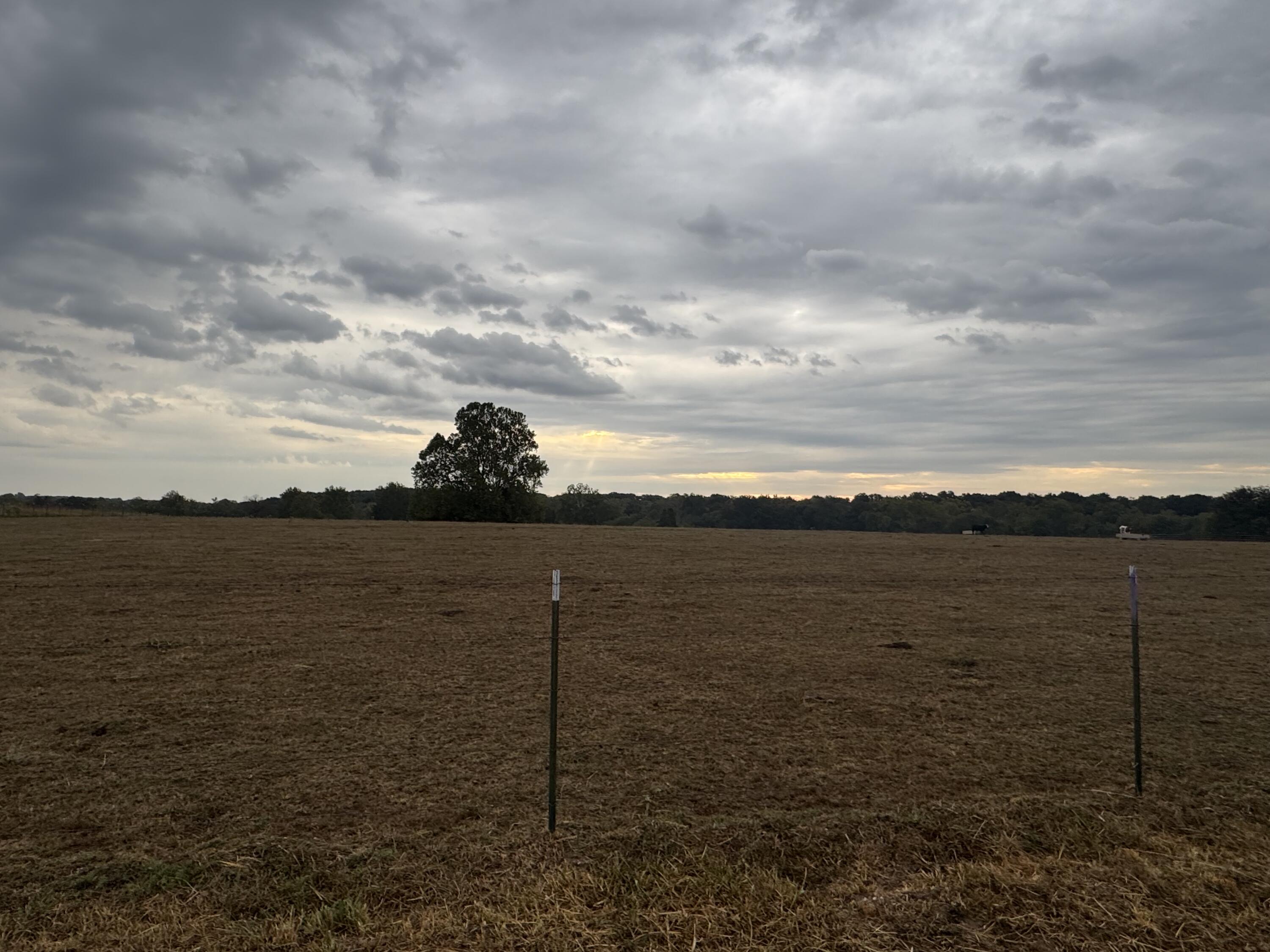 Photo 3 - Land for sale – 000 S 70th Road  Bolivar, MO