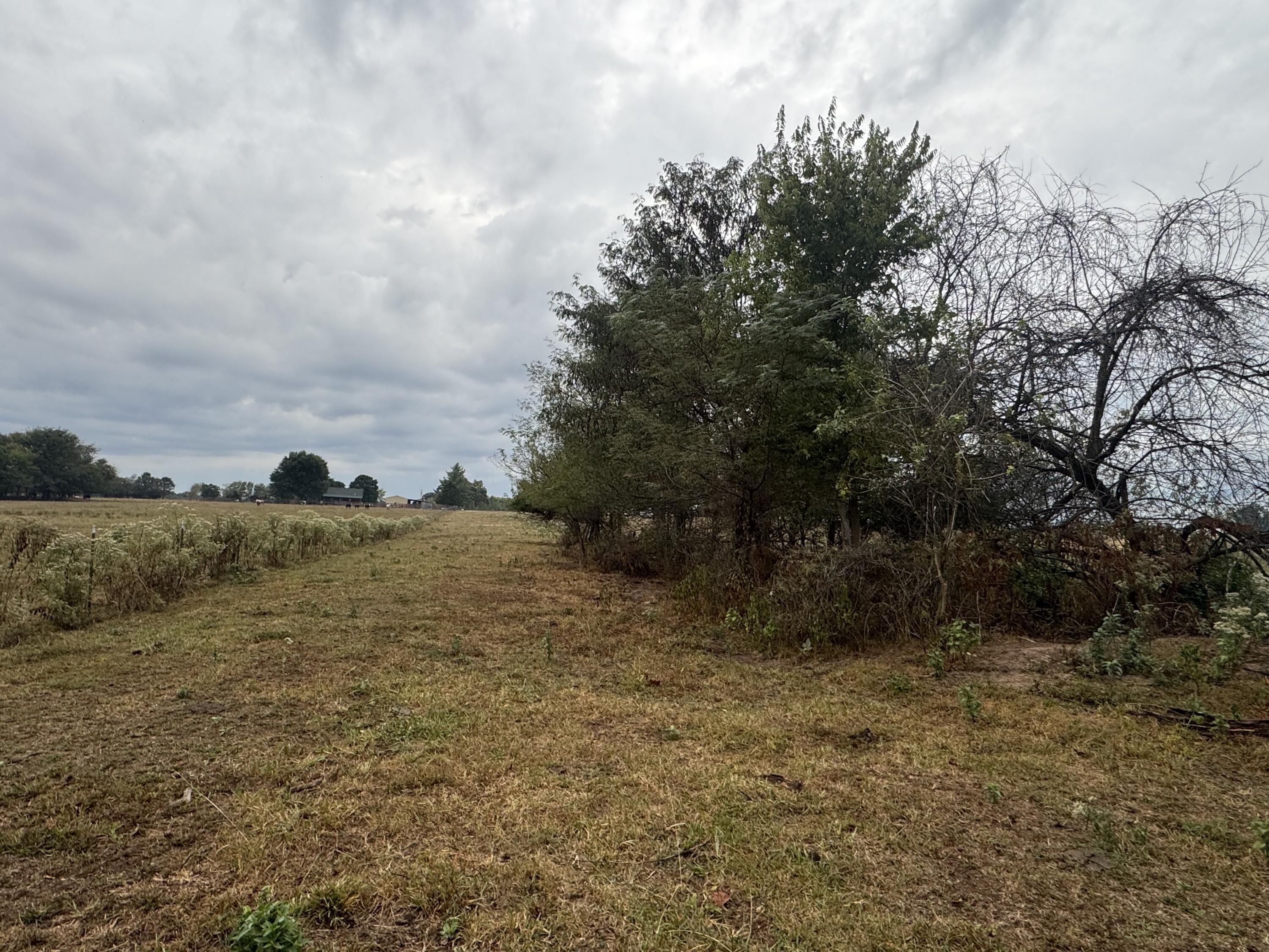 Photo 12 - Land for sale – 000 S 70th Road  Bolivar, MO