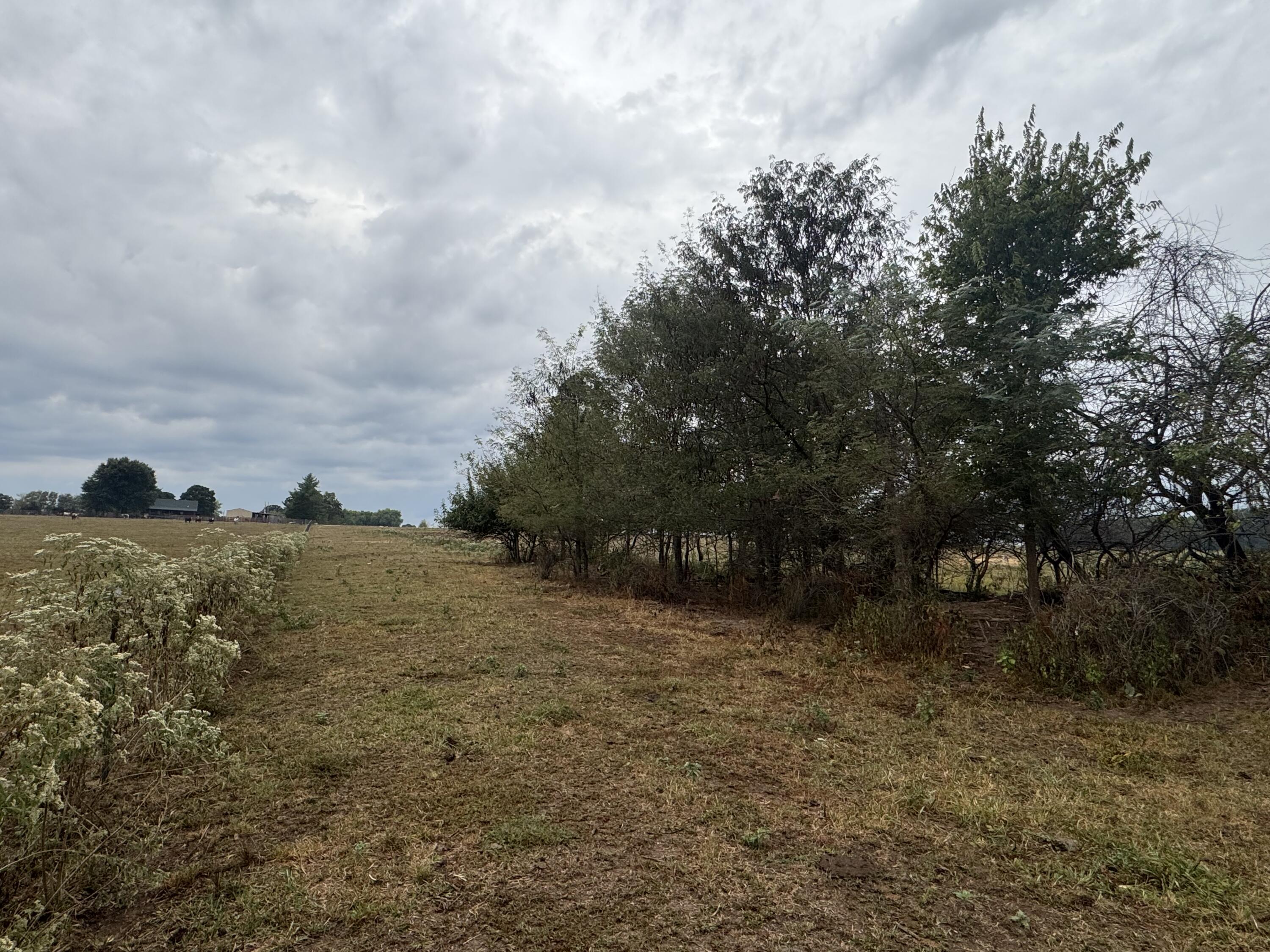 Photo 13 - Land for sale – 000 S 70th Road  Bolivar, MO