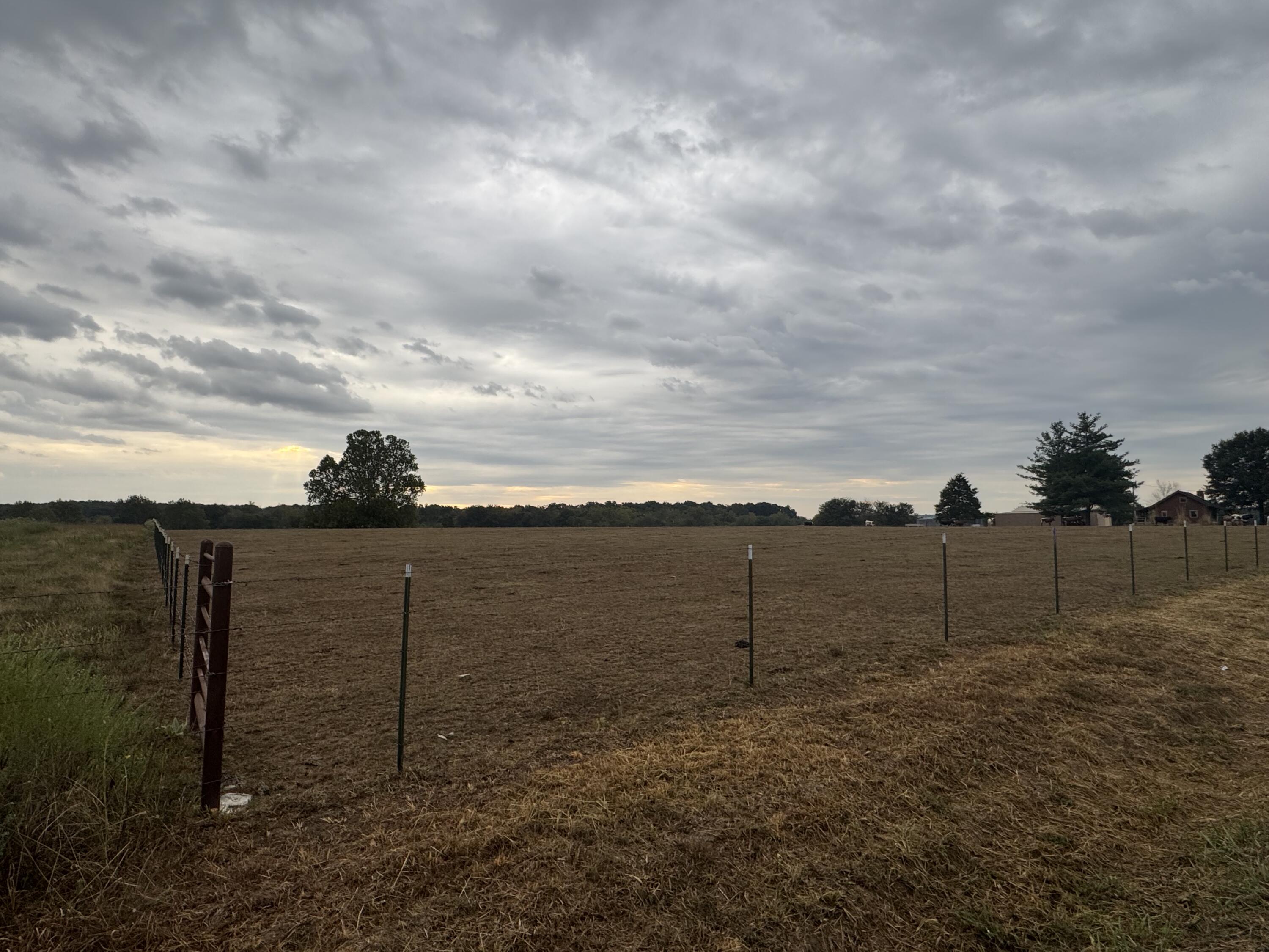 Photo 4 - Land for sale – 000 S 70th Road  Bolivar, MO