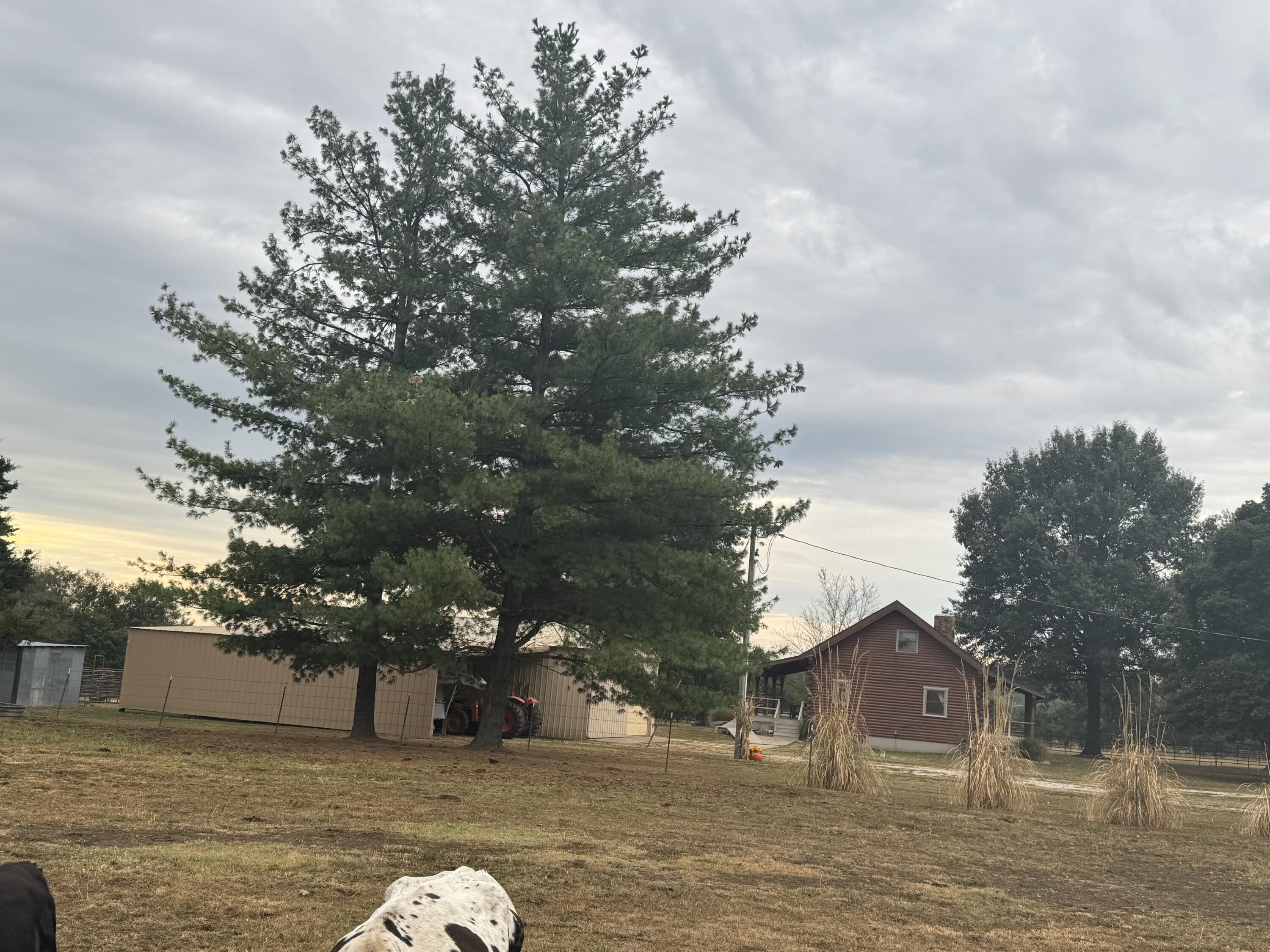 Photo 22 - Land for sale – 000 S 70th Road  Bolivar, MO