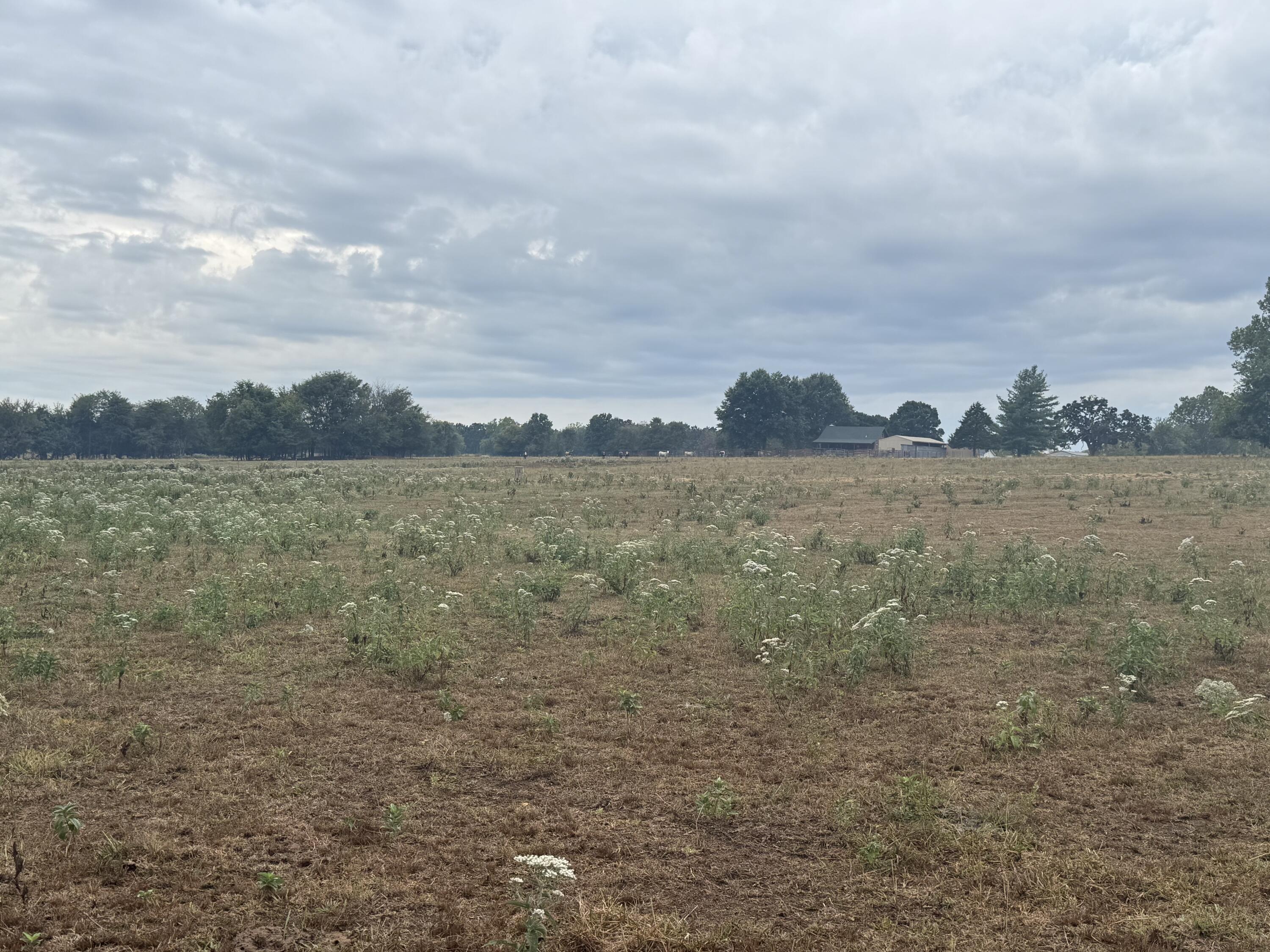 Photo 8 - Land for sale – 000 S 70th Road  Bolivar, MO