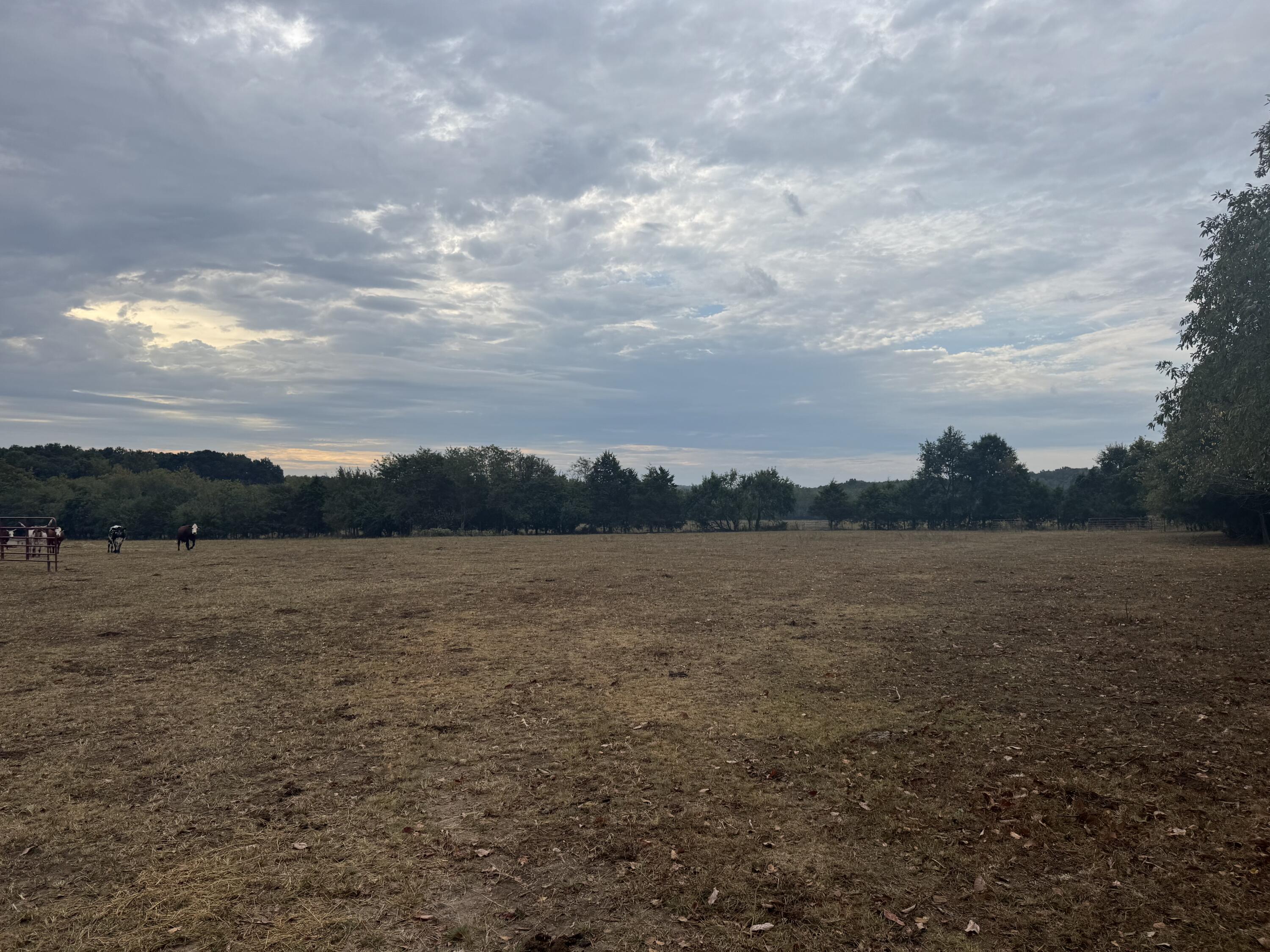Photo 14 - Land for sale – 000 S 70th Road  Bolivar, MO