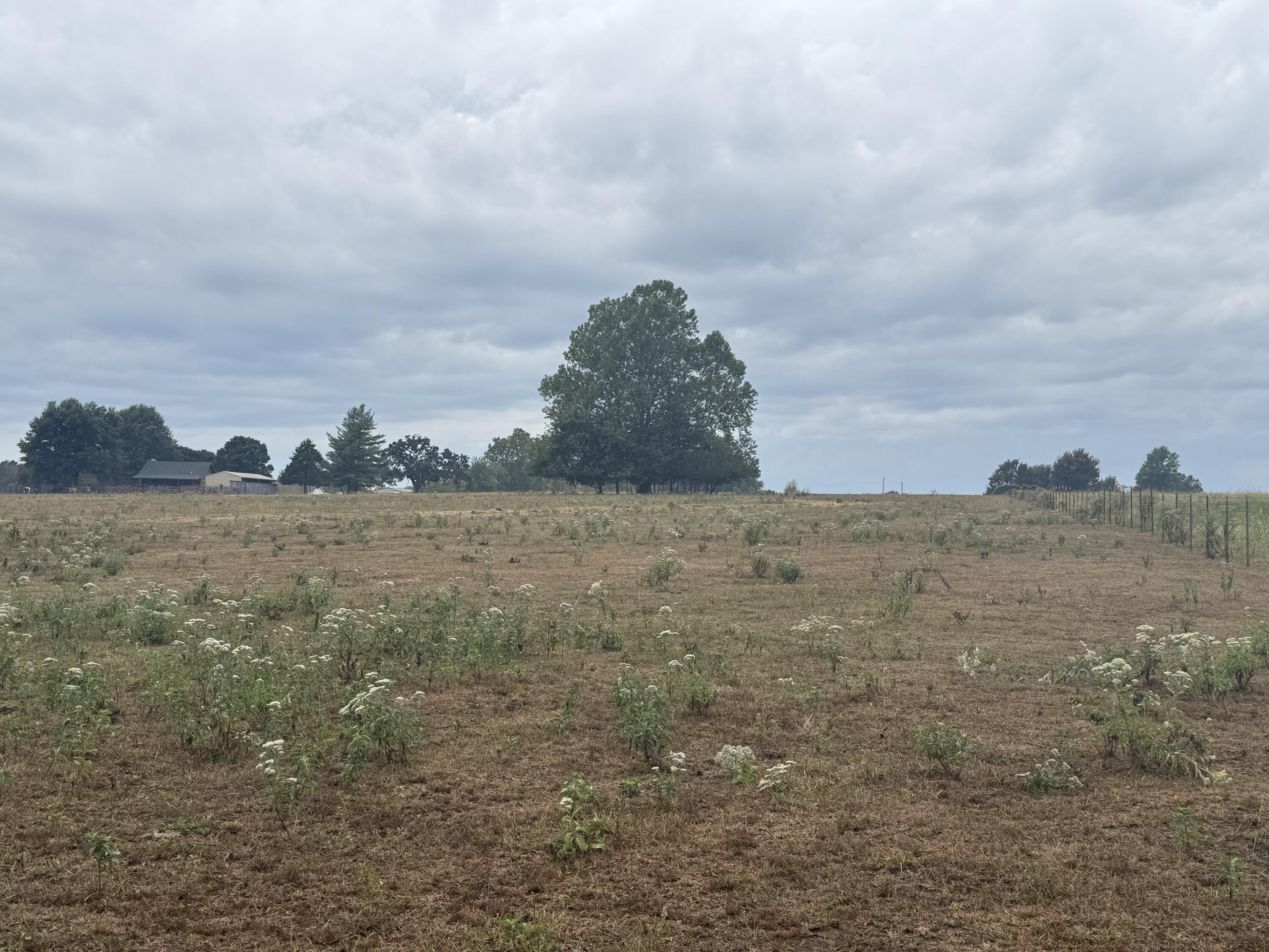 Photo 10 - Land for sale – 000 S 70th Road  Bolivar, MO