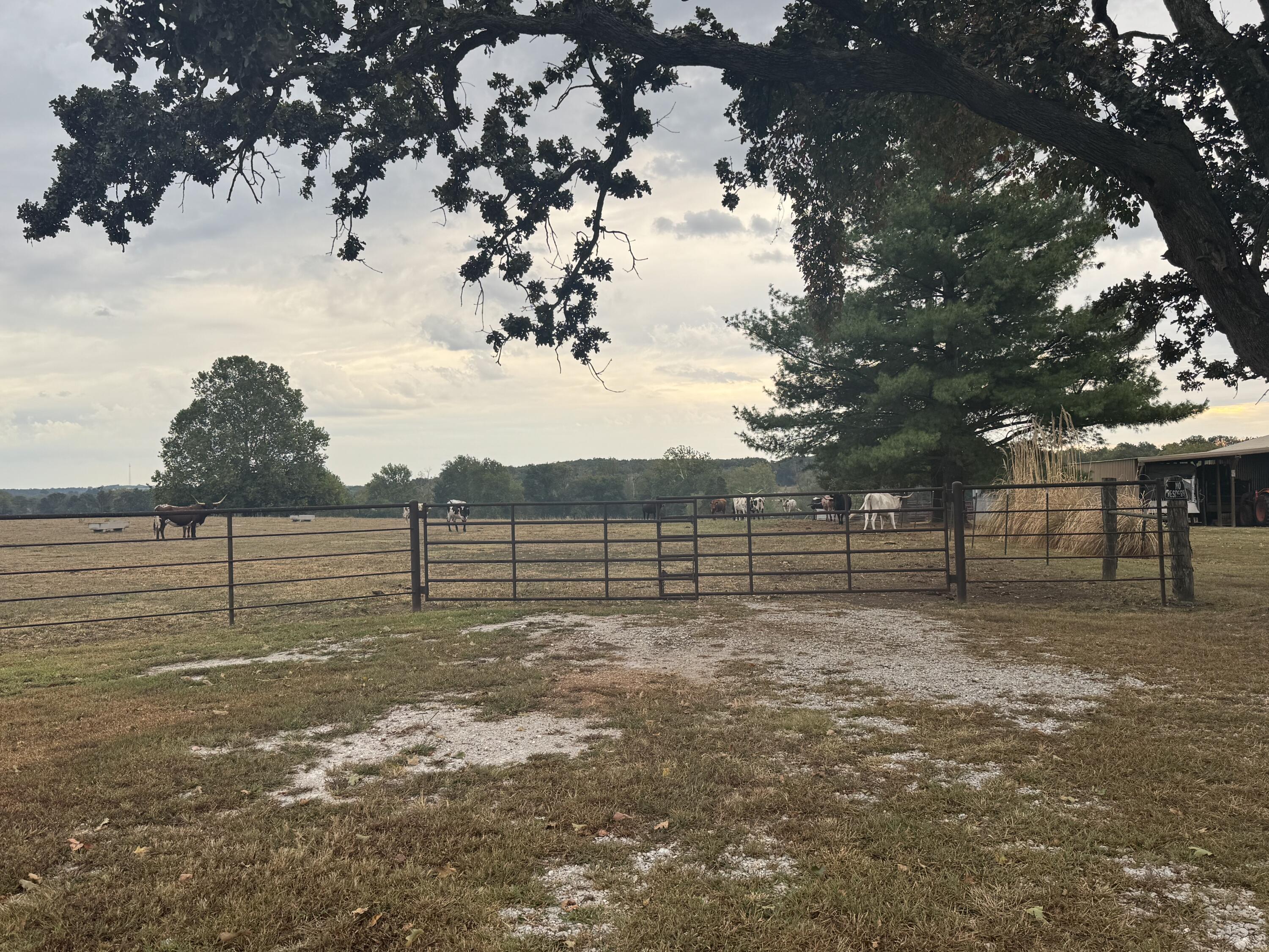 Land for sale – 000 S 70th Road  Bolivar, MO