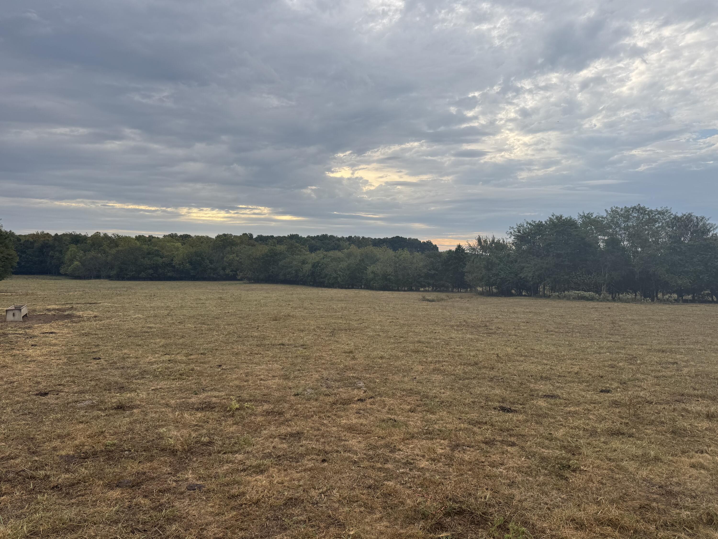 Photo 15 - Land for sale – 000 S 70th Road  Bolivar, MO