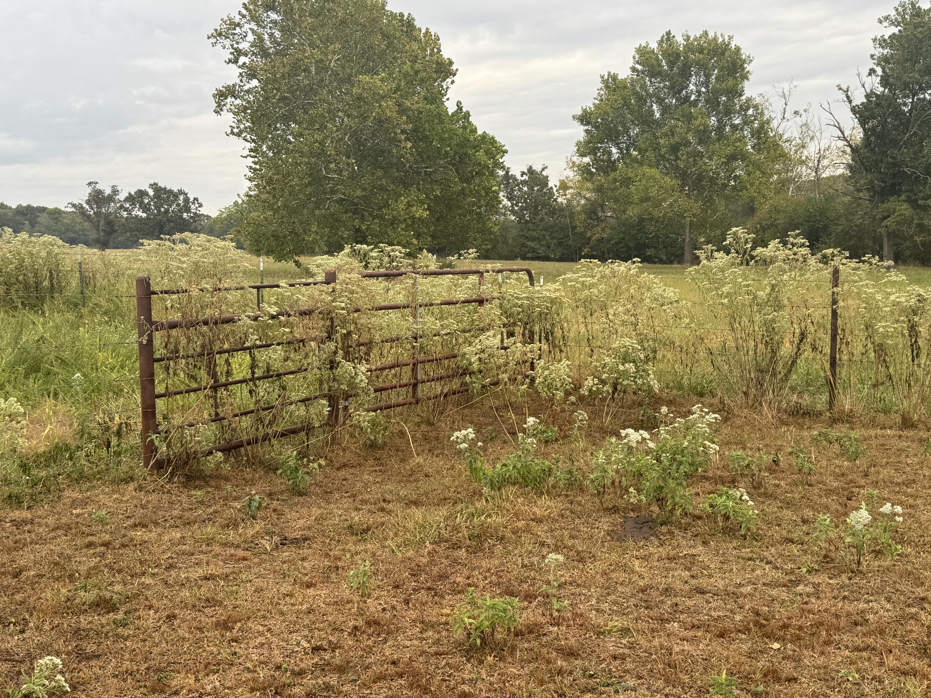 Photo 16 - Land for sale – 000 S 70th Road  Bolivar, MO