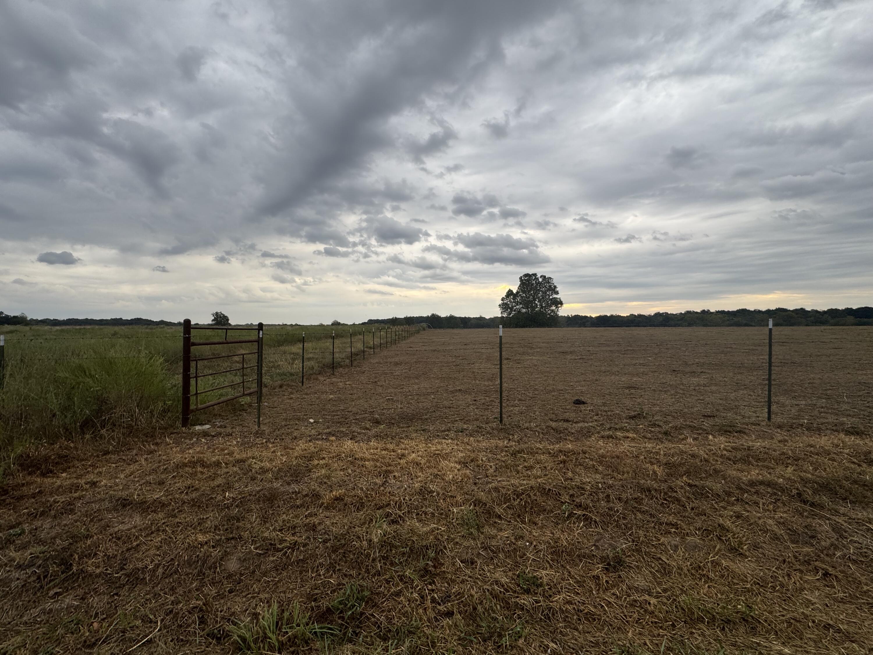 Photo 6 - Land for sale – 000 S 70th Road  Bolivar, MO