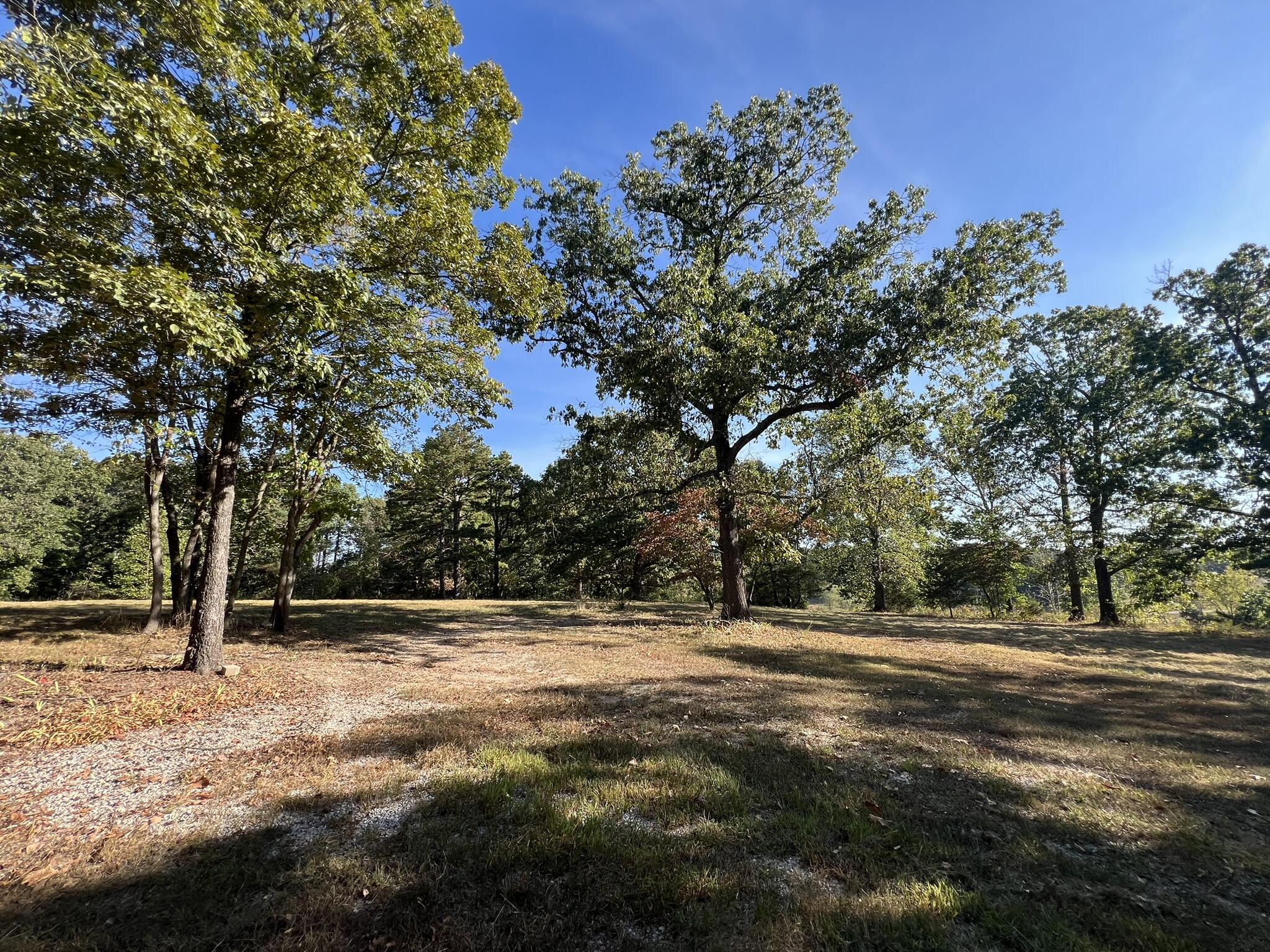 Photo 8 - Land for sale – 1747  State Route 137   Willow Springs, MO