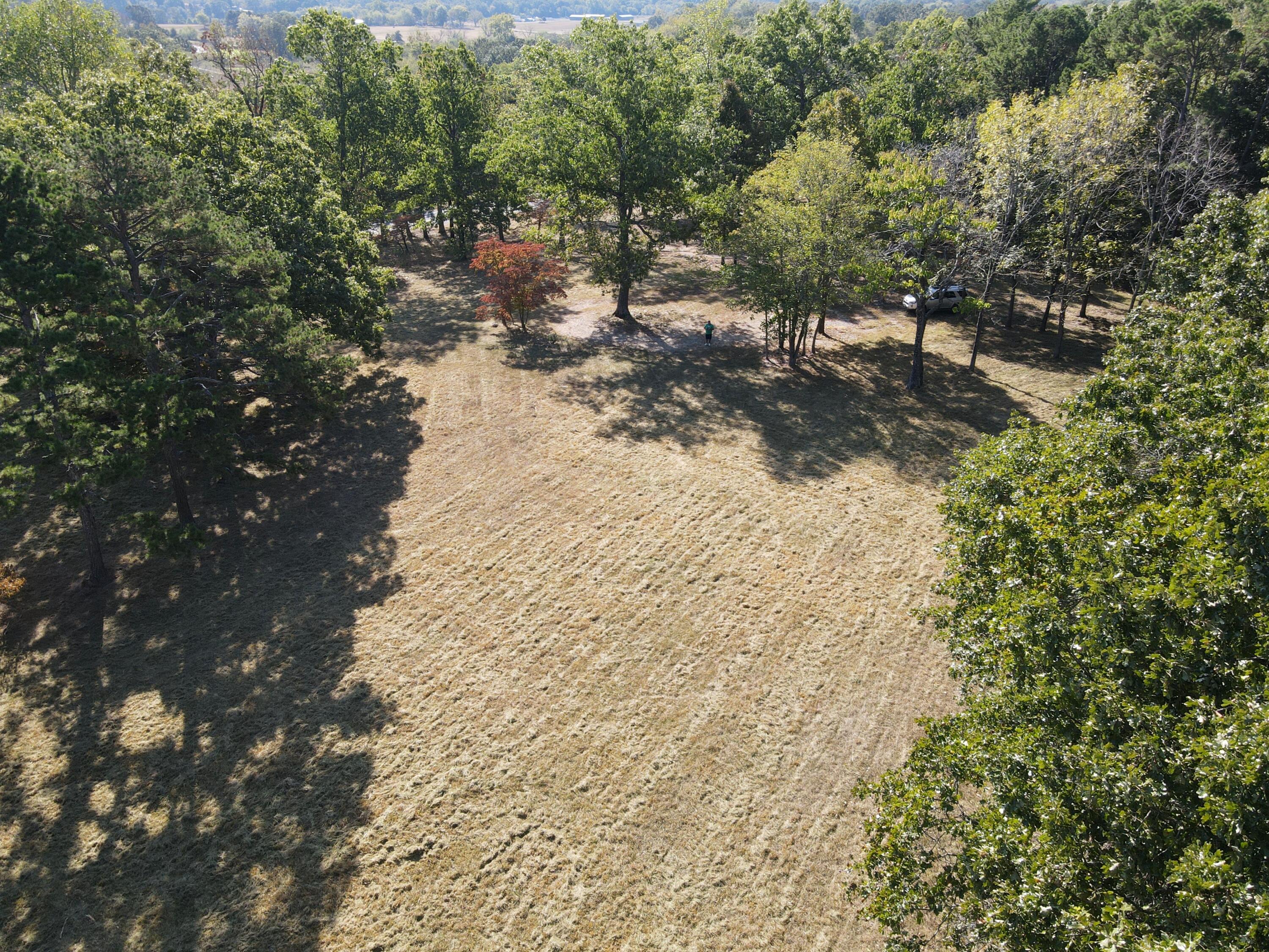 Photo 16 - Land for sale – 1747  State Route 137   Willow Springs, MO