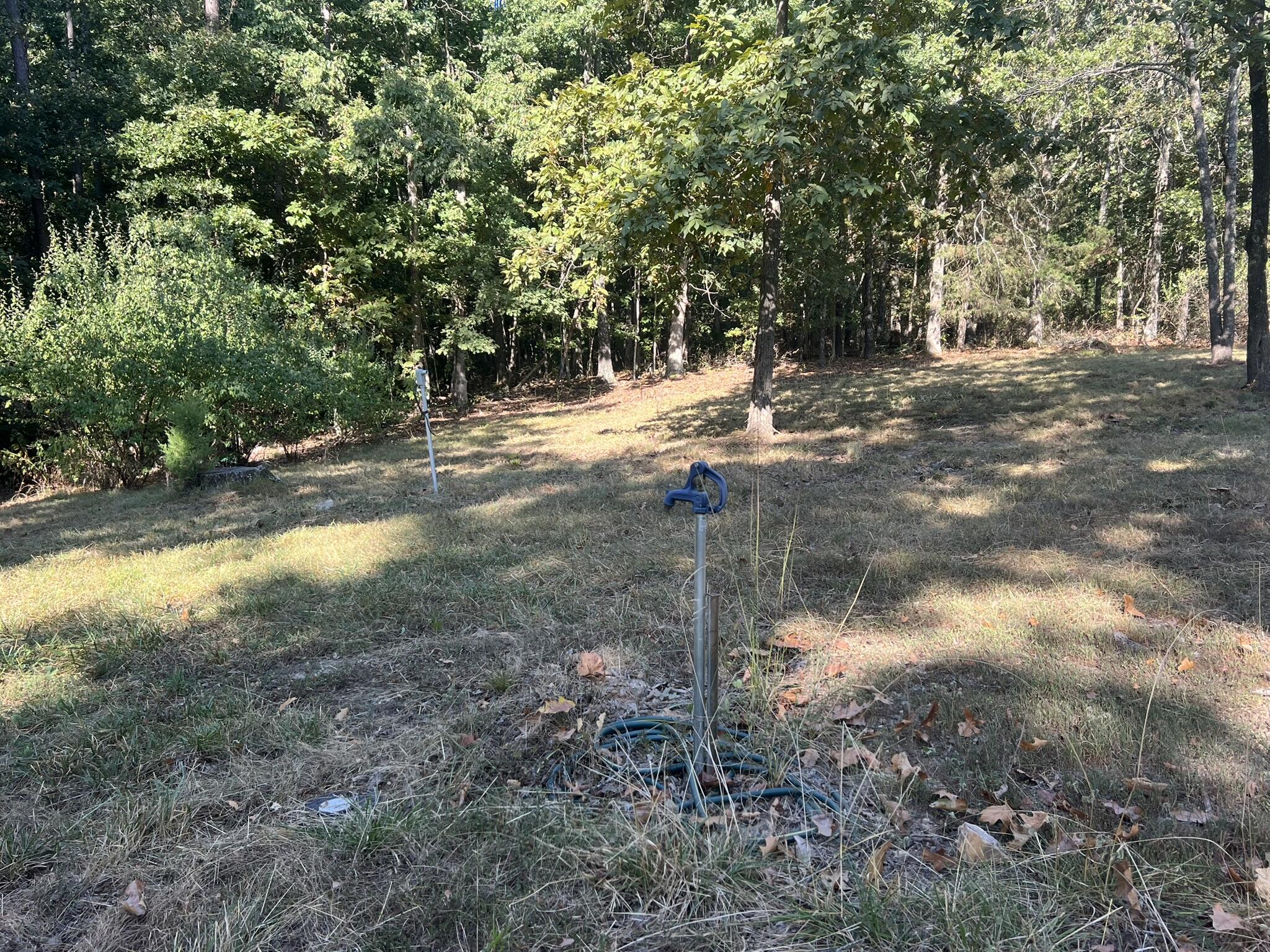 Photo 6 - Land for sale – 1747  State Route 137   Willow Springs, MO