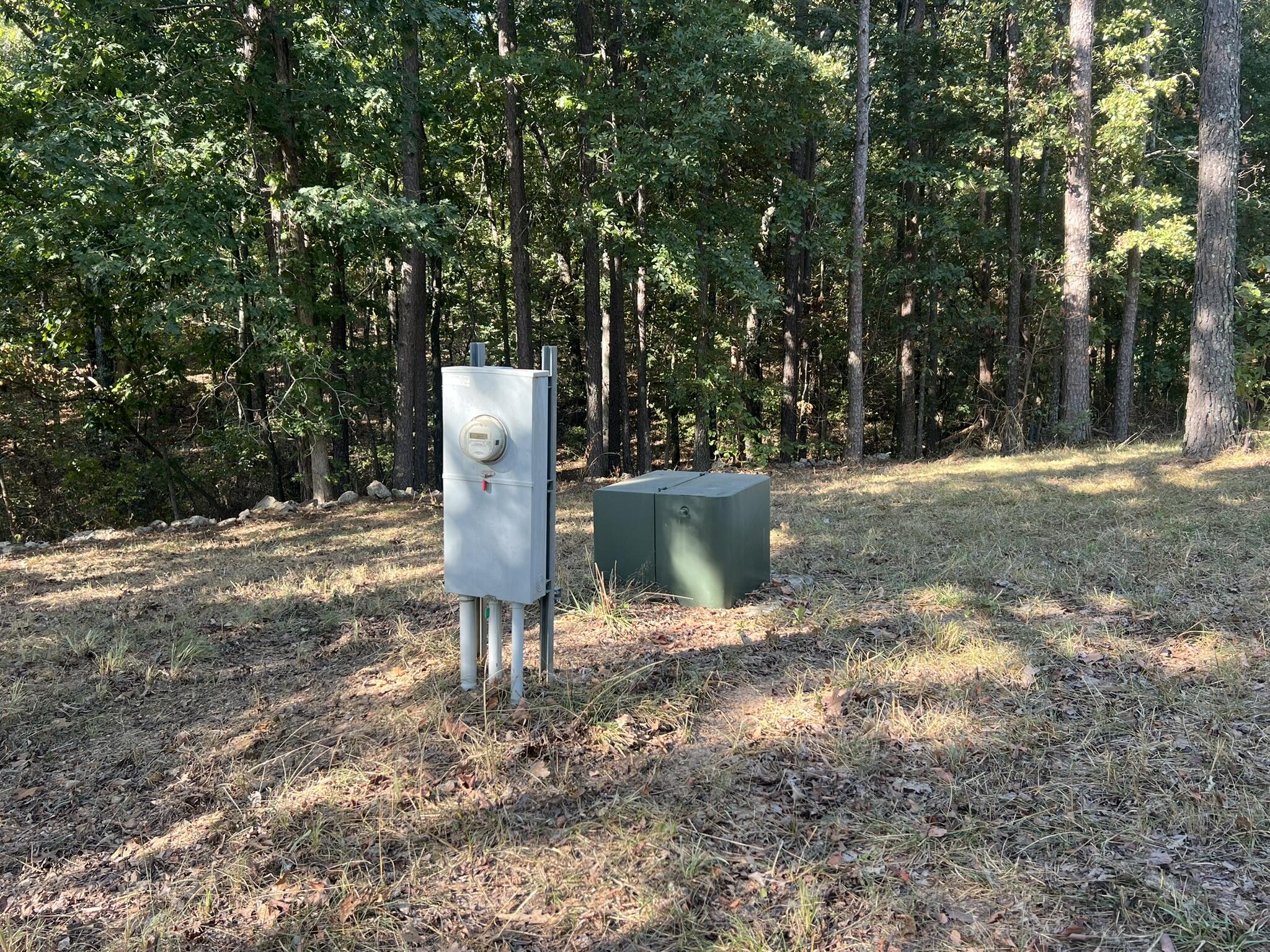 Photo 4 - Land for sale – 1747  State Route 137   Willow Springs, MO