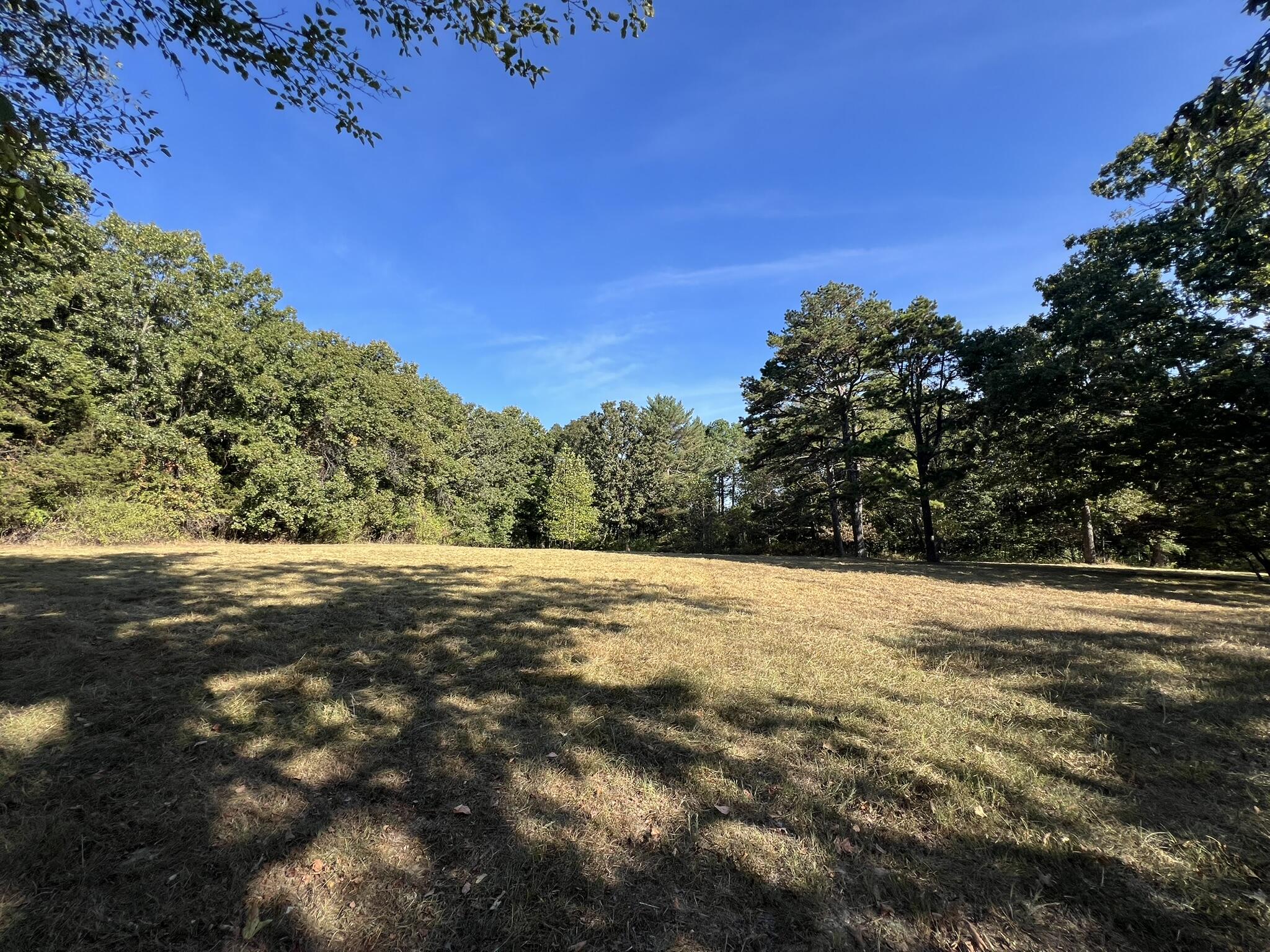 Photo 9 - Land for sale – 1747  State Route 137   Willow Springs, MO