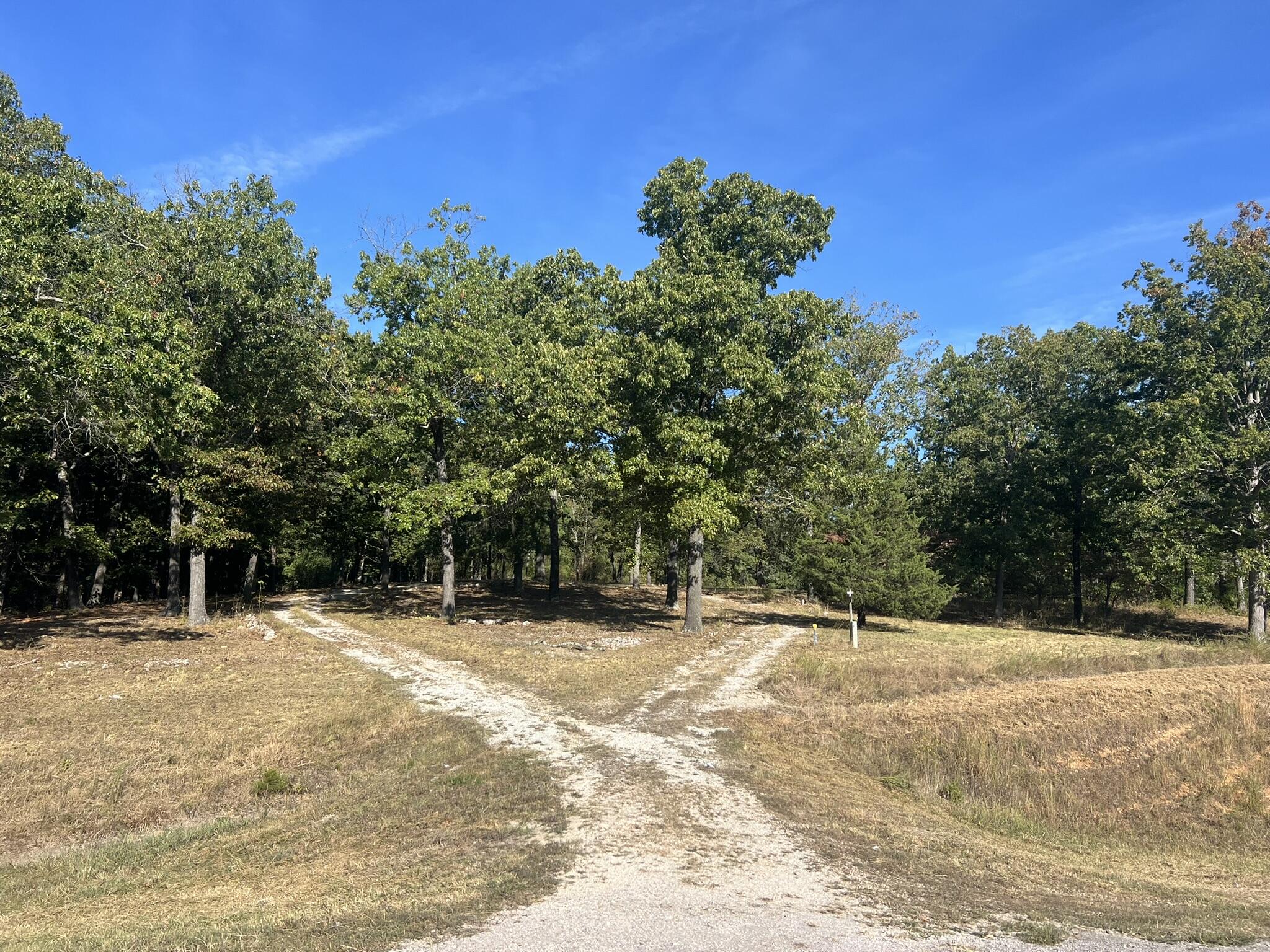 Photo 3 - Land for sale – 1747  State Route 137   Willow Springs, MO