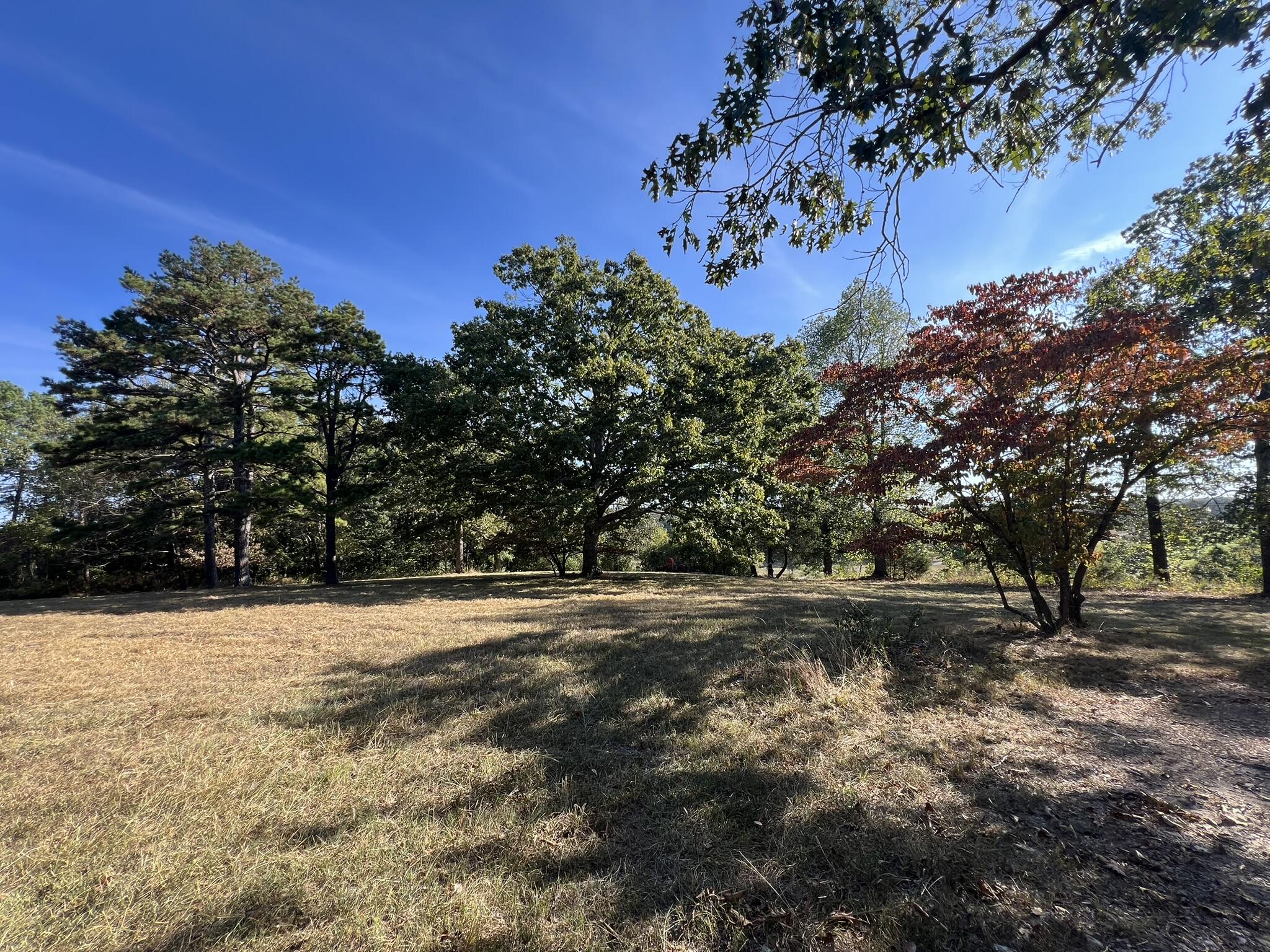 Photo 10 - Land for sale – 1747  State Route 137   Willow Springs, MO