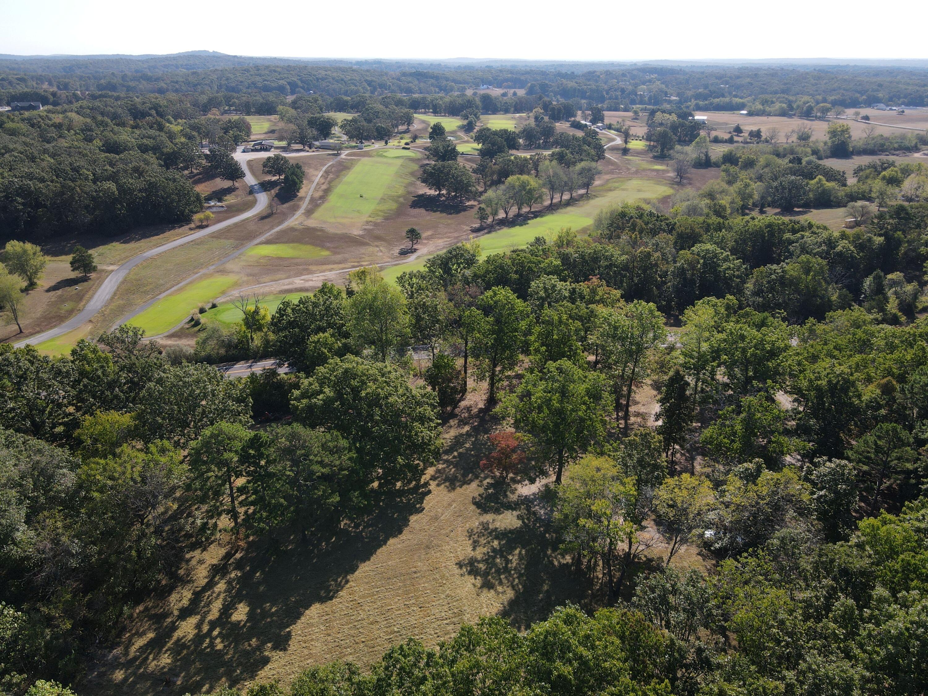 Photo 11 - Land for sale – 1747  State Route 137   Willow Springs, MO