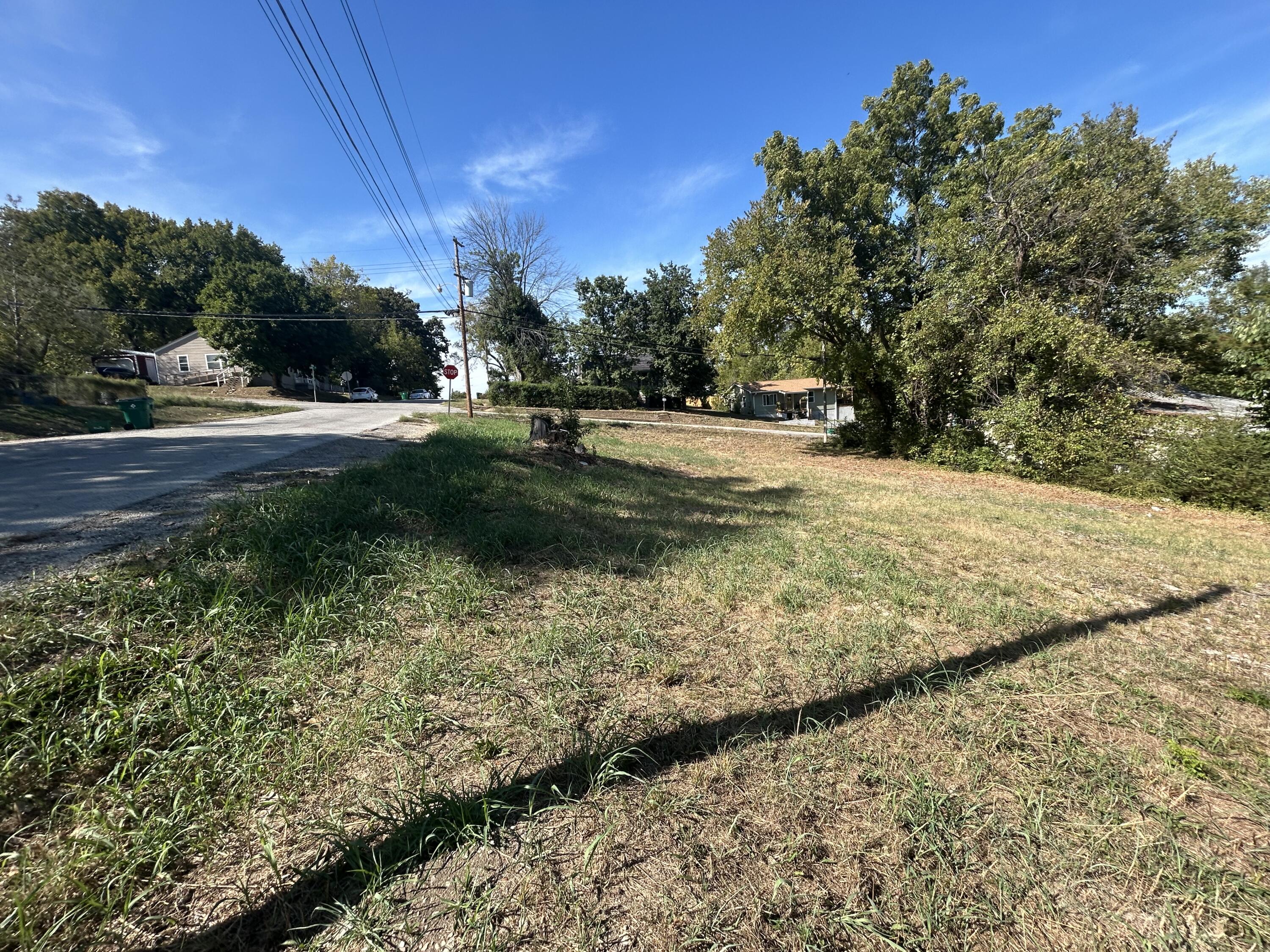 Photo 7 - Land for sale – 418 N 4th   Thayer, MO