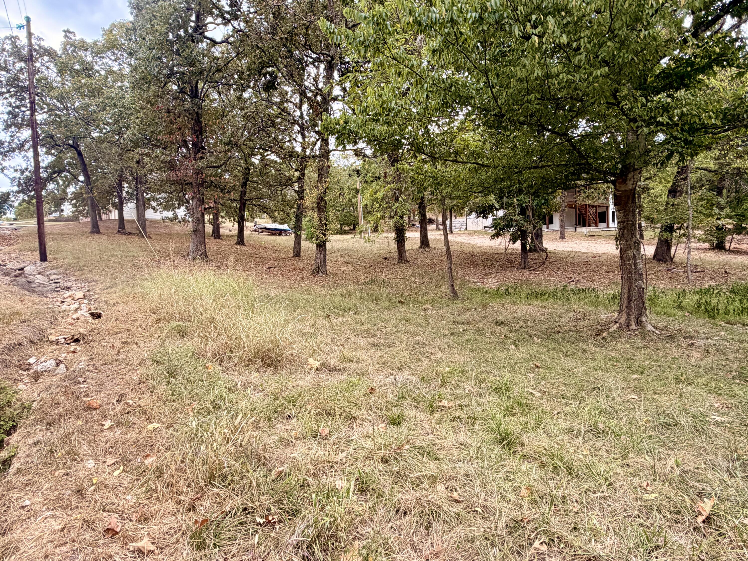 Photo 4 - Land for sale – 000 N Maple   Blue Eye, MO
