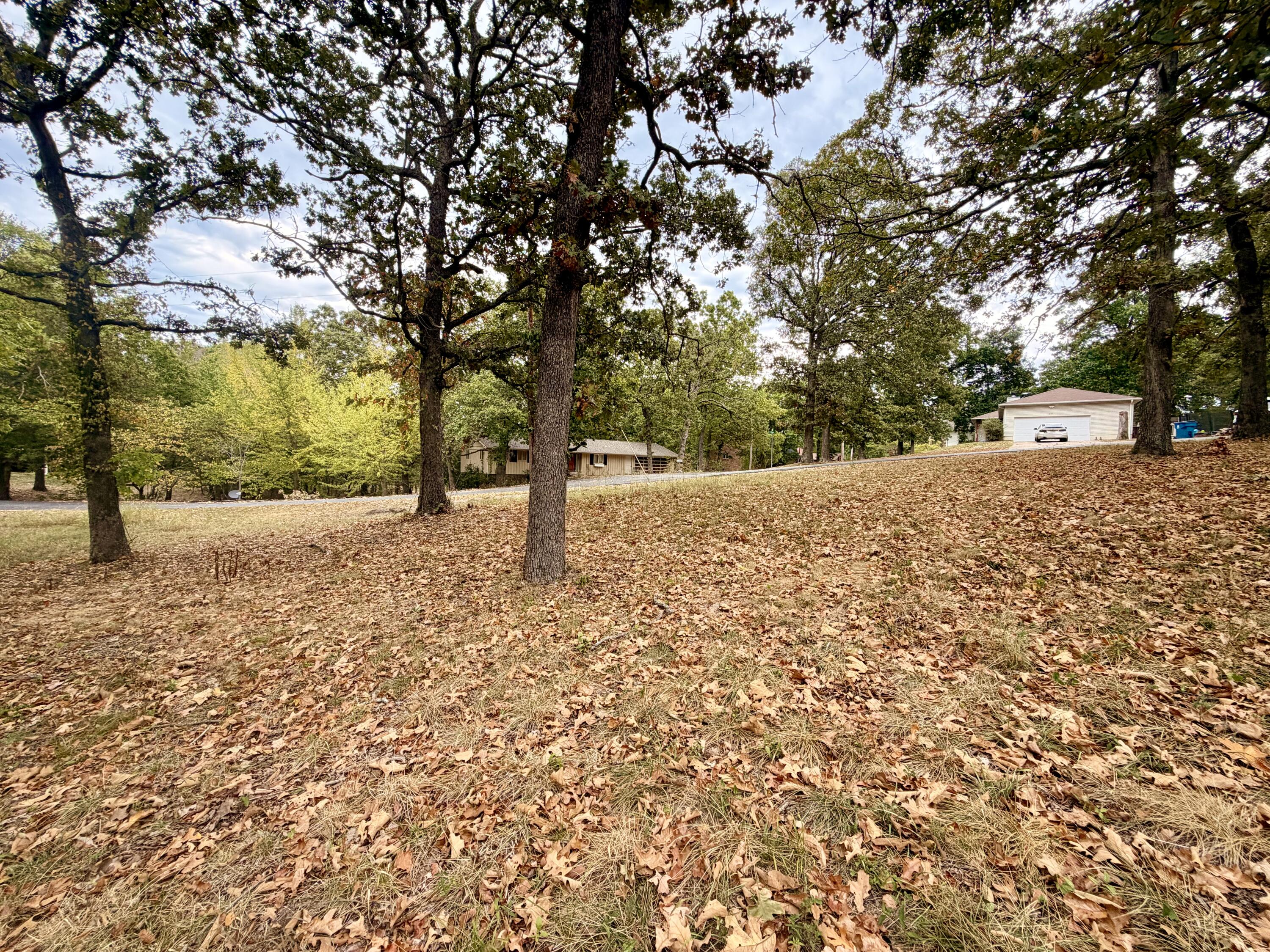Photo 5 - Land for sale – 000 N Maple   Blue Eye, MO