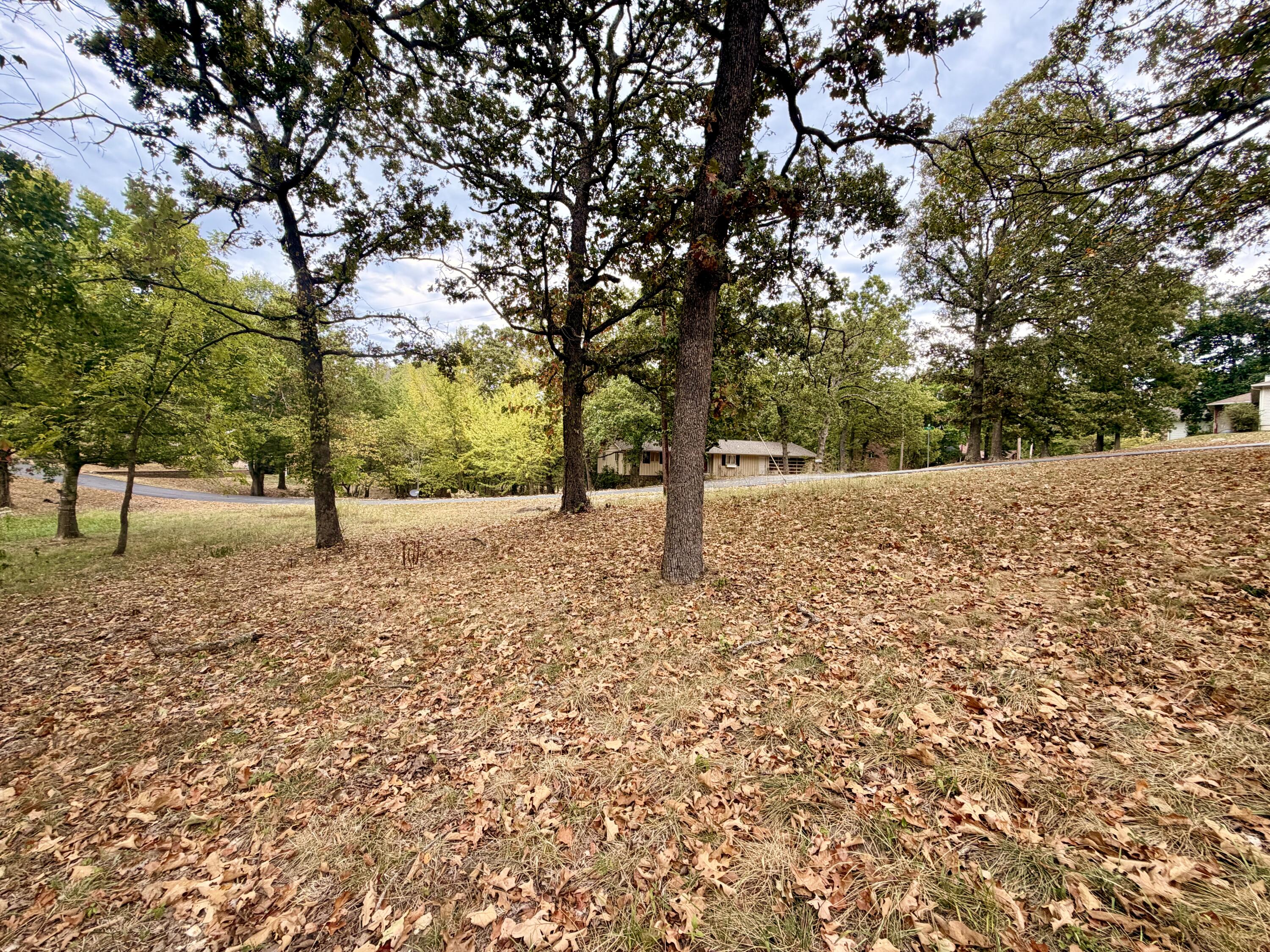 Photo 6 - Land for sale – 000 N Maple   Blue Eye, MO