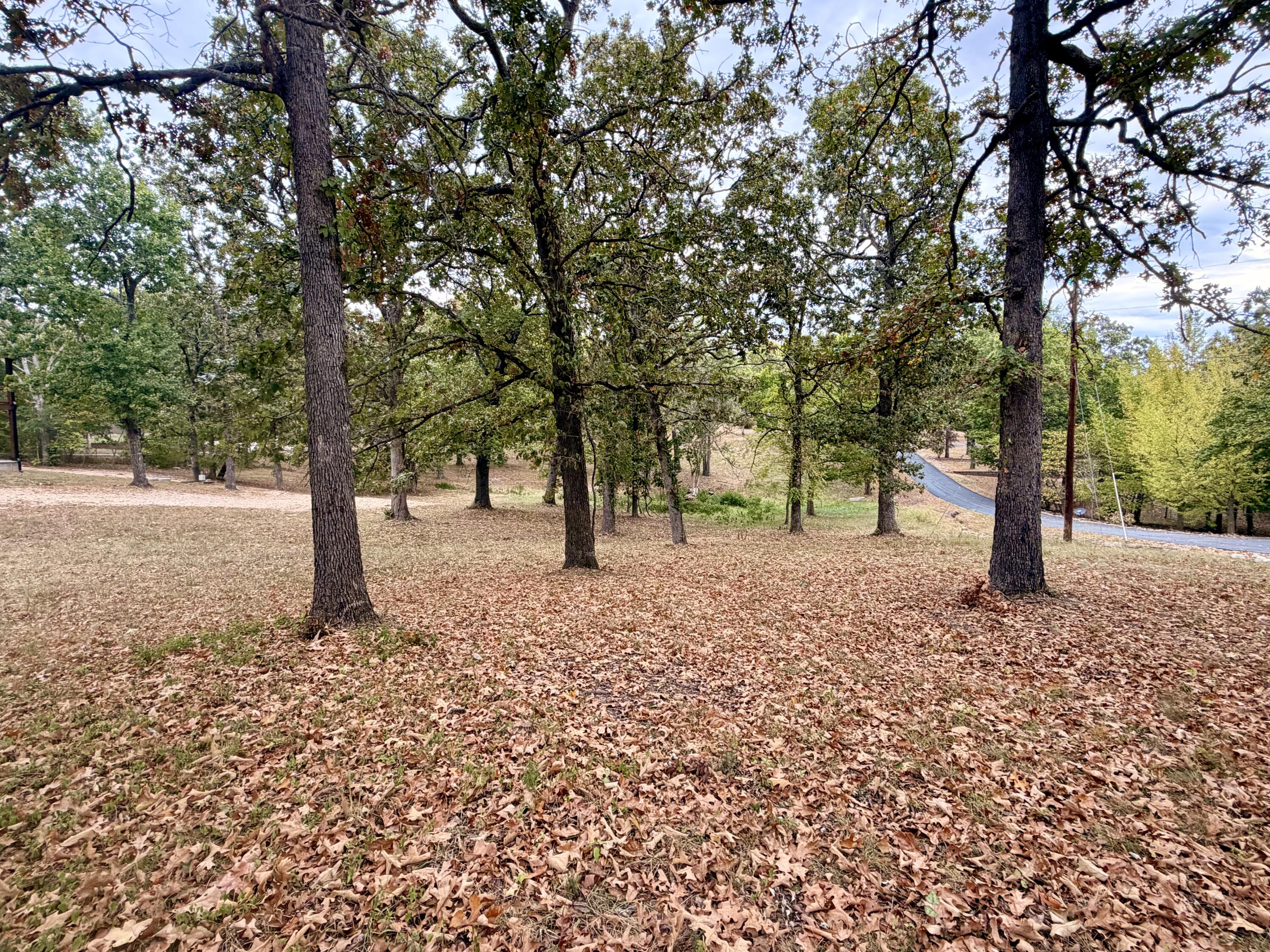 Photo 2 - Land for sale – 000 N Maple   Blue Eye, MO