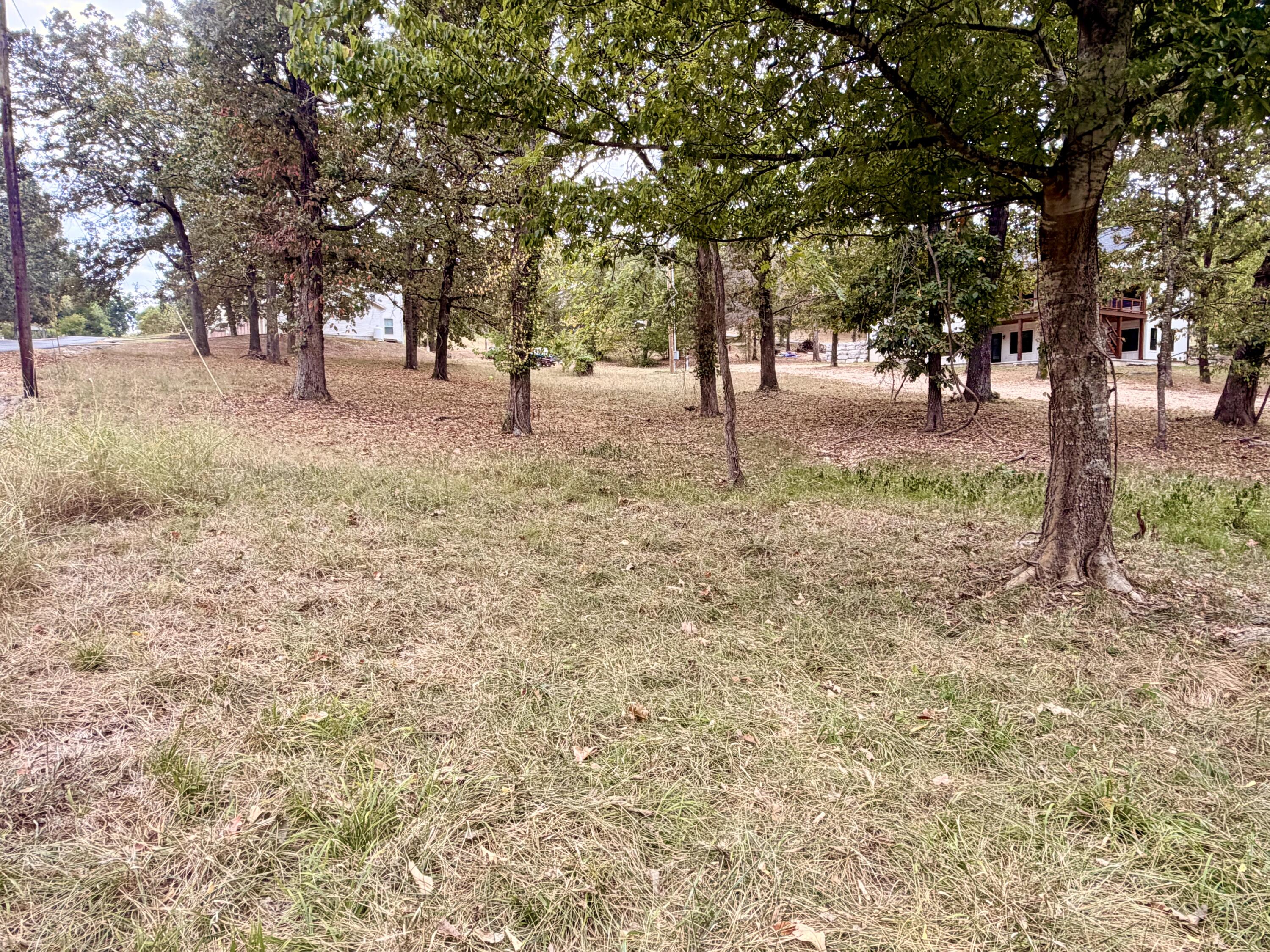 Photo 3 - Land for sale – 000 N Maple   Blue Eye, MO