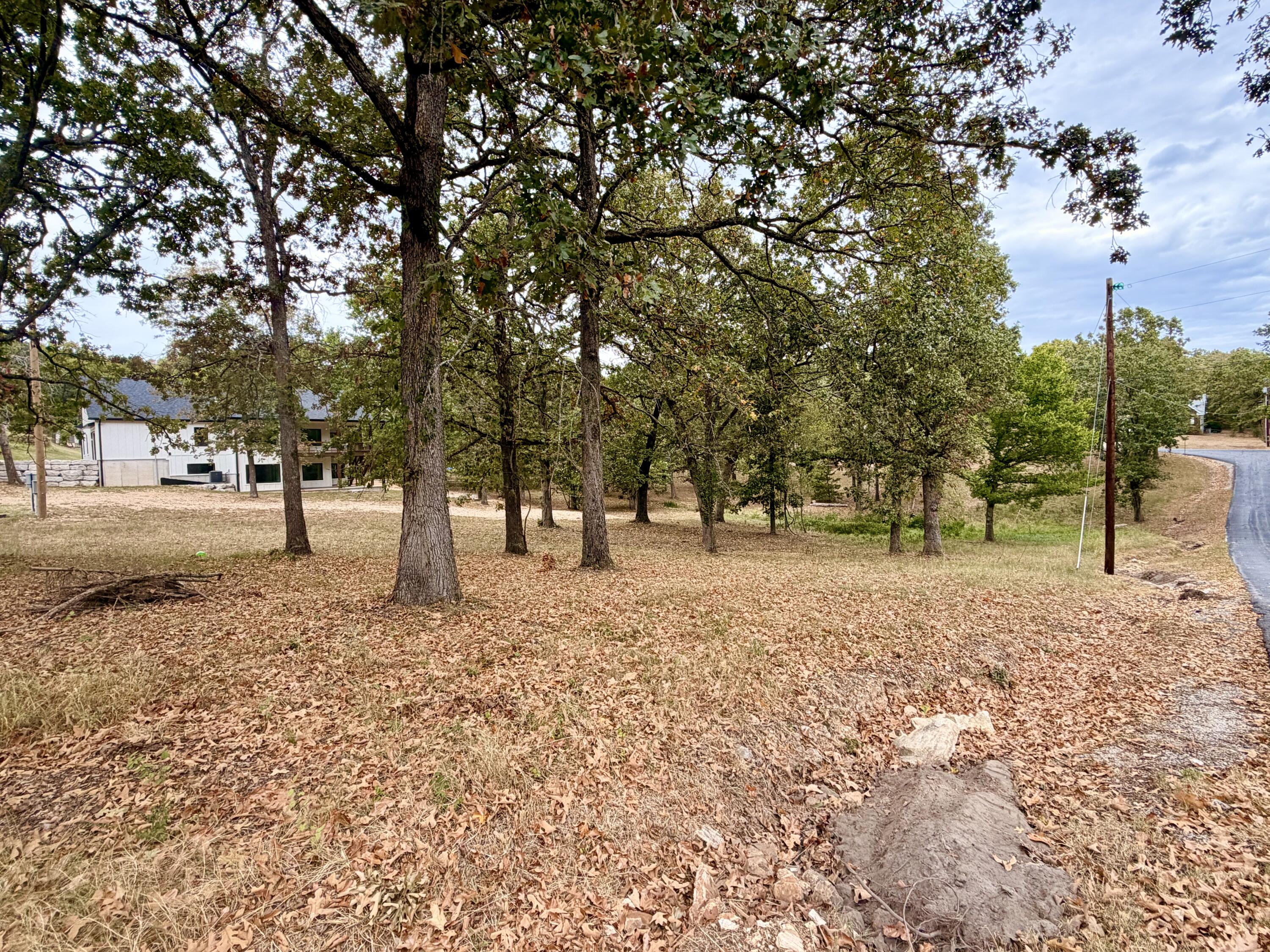 Land for sale – 000 N Maple   Blue Eye, MO