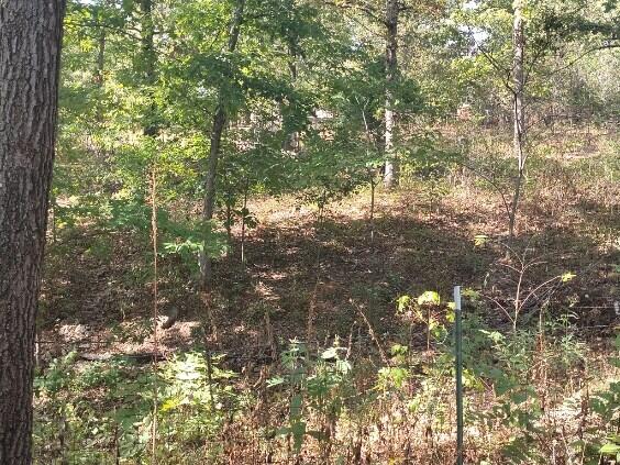Photo 5 - Land for sale – 7368  Angus Drive  Seneca, MO